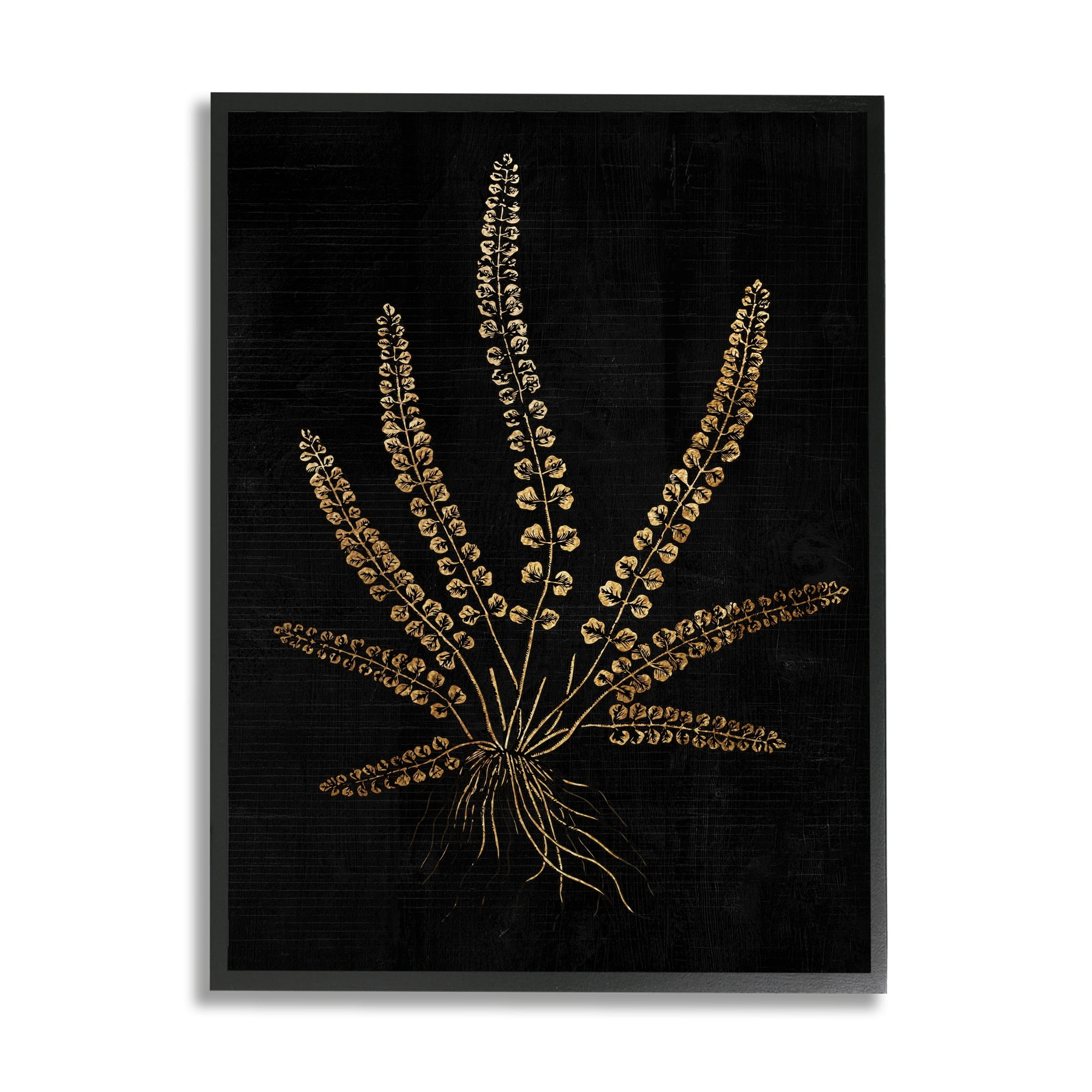 Stupell Industries Vintage Fern Blades Rooted Forest Plant Illustration, 11 x 14, Design by Daphne Polselli