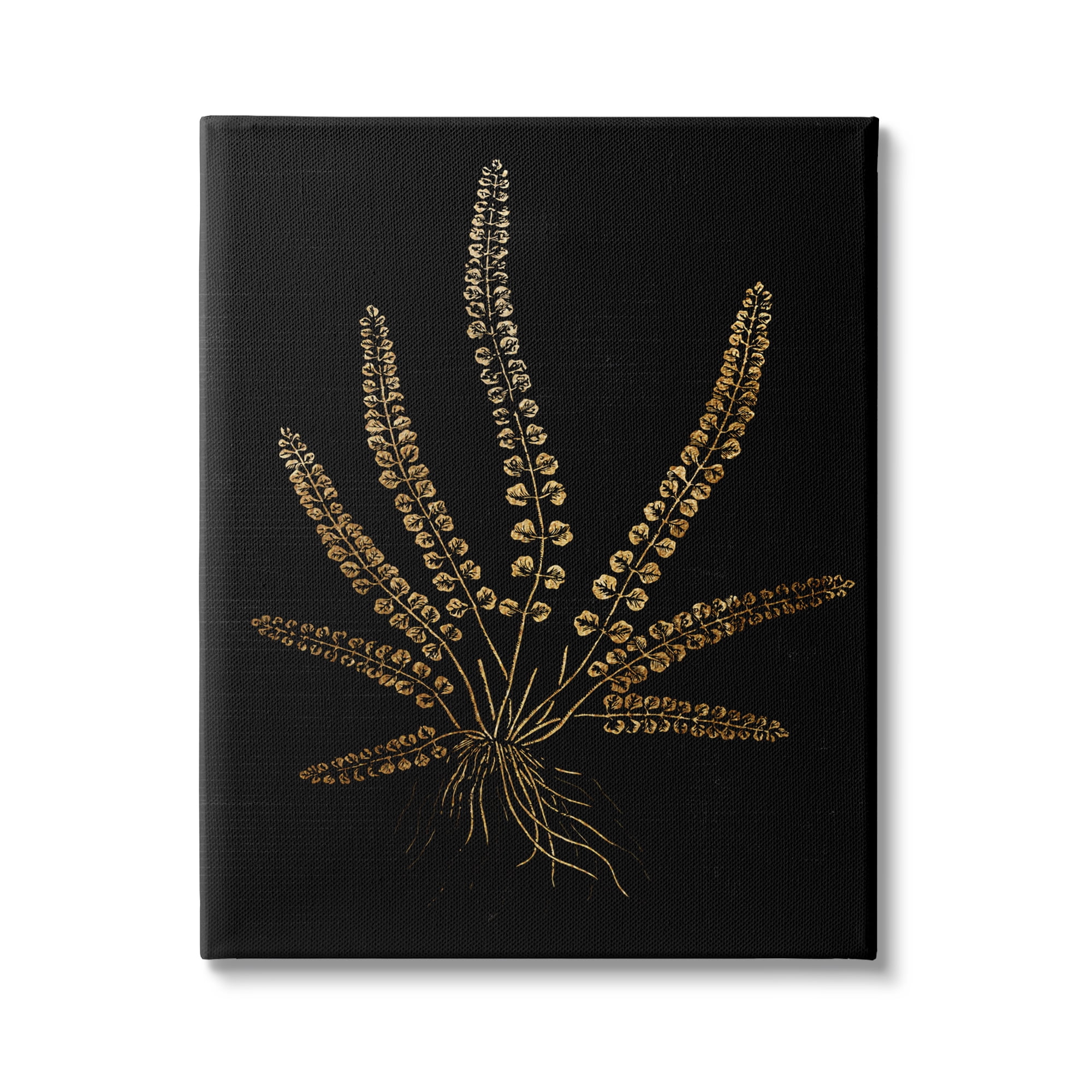Stupell Industries Vintage Fern Blades Rooted Forest Plant Illustration, 16 x 20, Design by Daphne Polselli