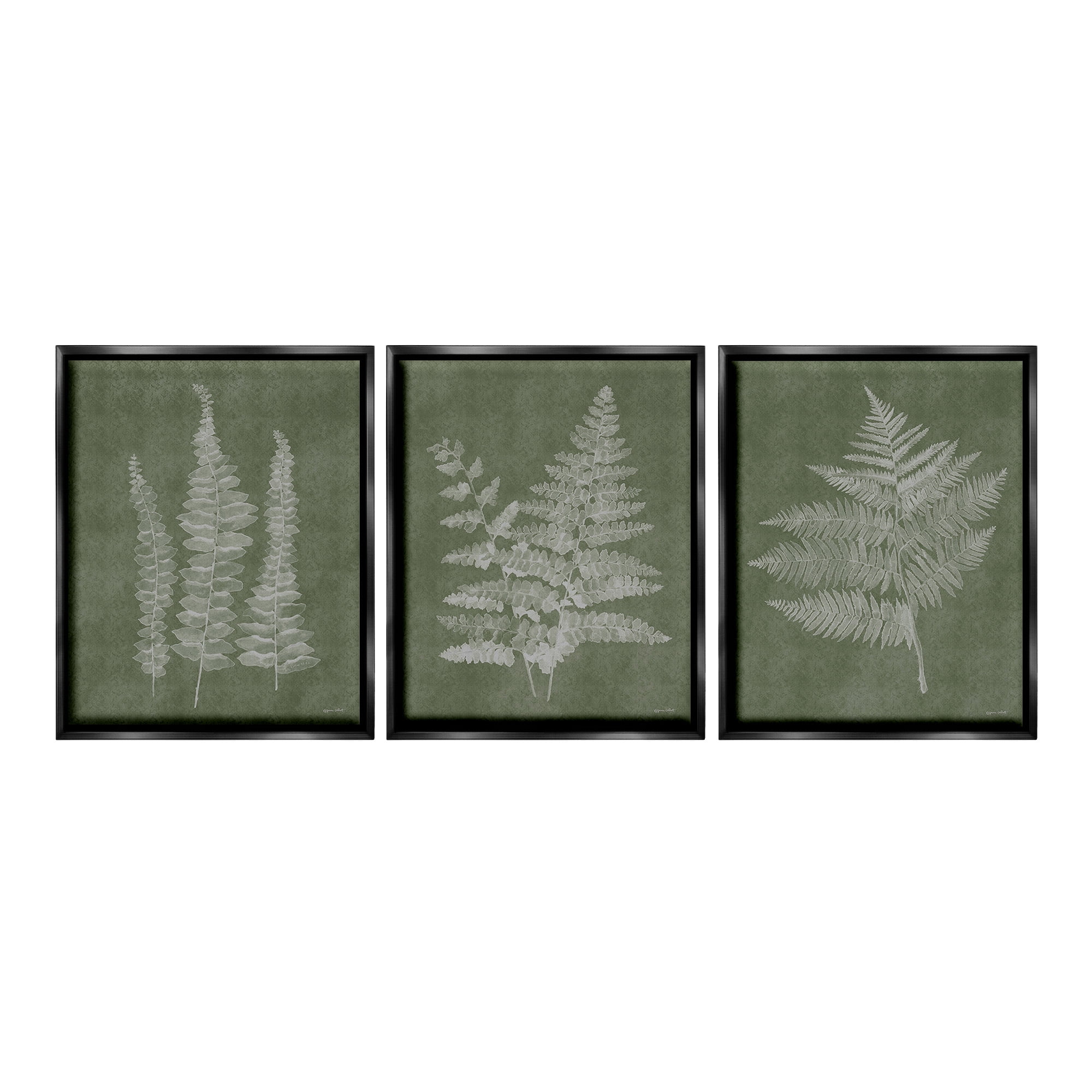 Vintage Fern Botanical Canvas Prints with Black Frames, Set of 3