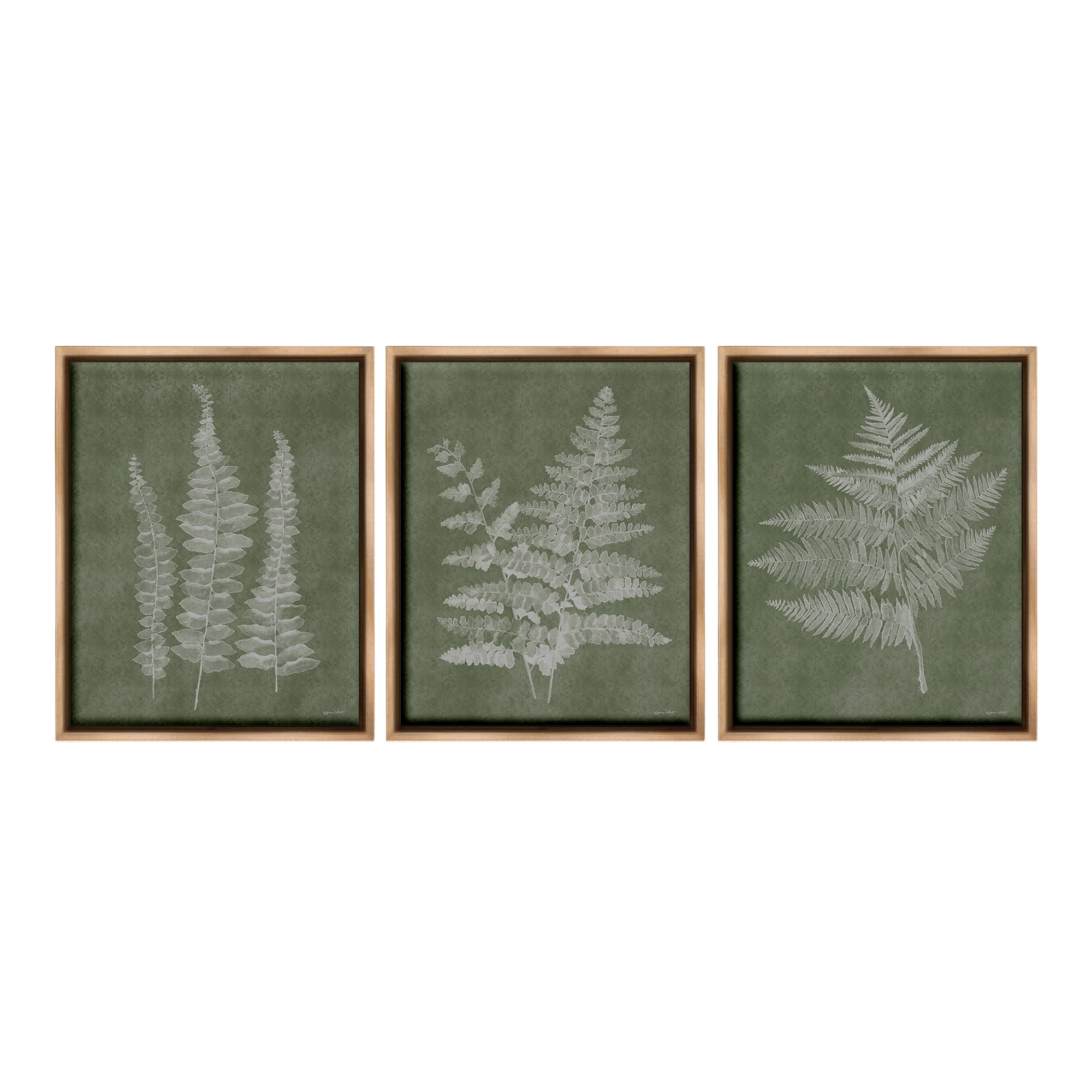 Stupell Industries Vintage Fern Silhouettes Botanical & Floral Painting Brown Floater Framed Canvas Art Print Wall Art, 25 x 31, Set of 3