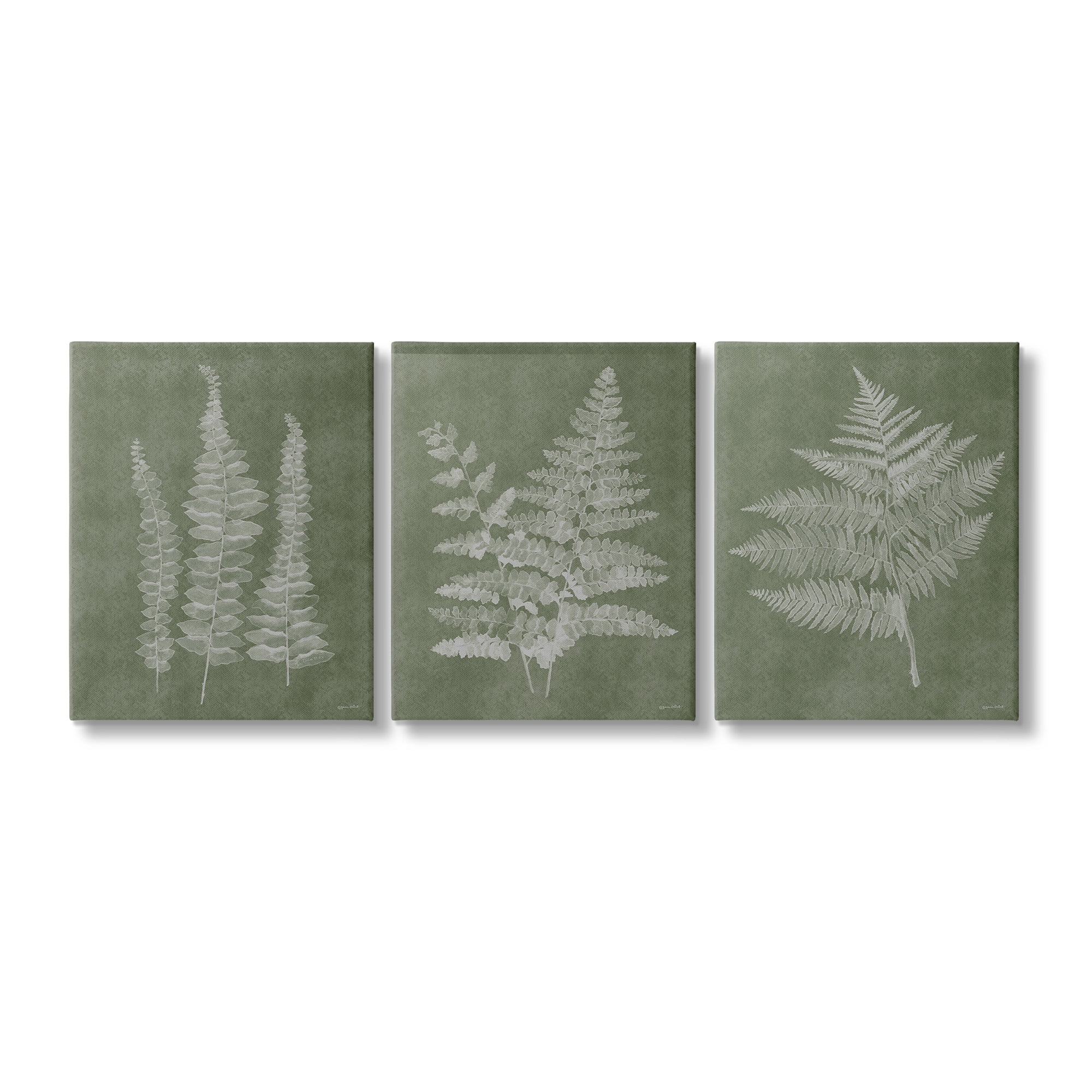 Stupell Industries Vintage Fern Silhouettes Botanical & Floral Painting Gallery Wrapped Canvas Art Print Wall Art, 16 x 20, Set of 3