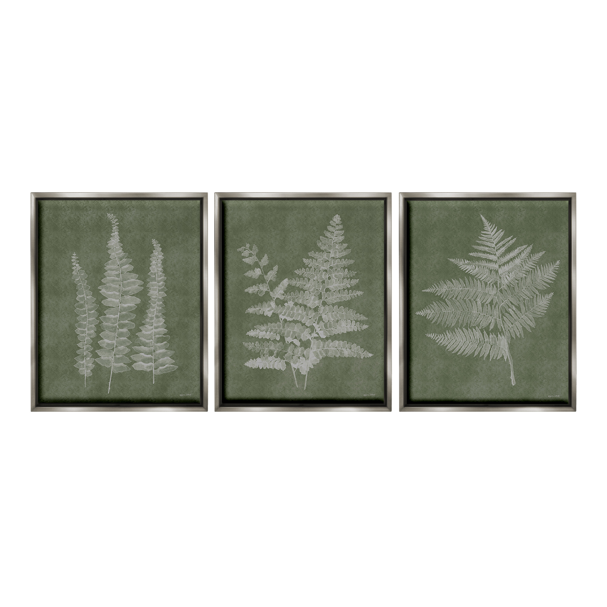 Stupell Industries Vintage Fern Silhouettes Botanical & Floral Painting Gray Floater Framed Canvas Art Print Wall Art, 17 x 21, Set of 3