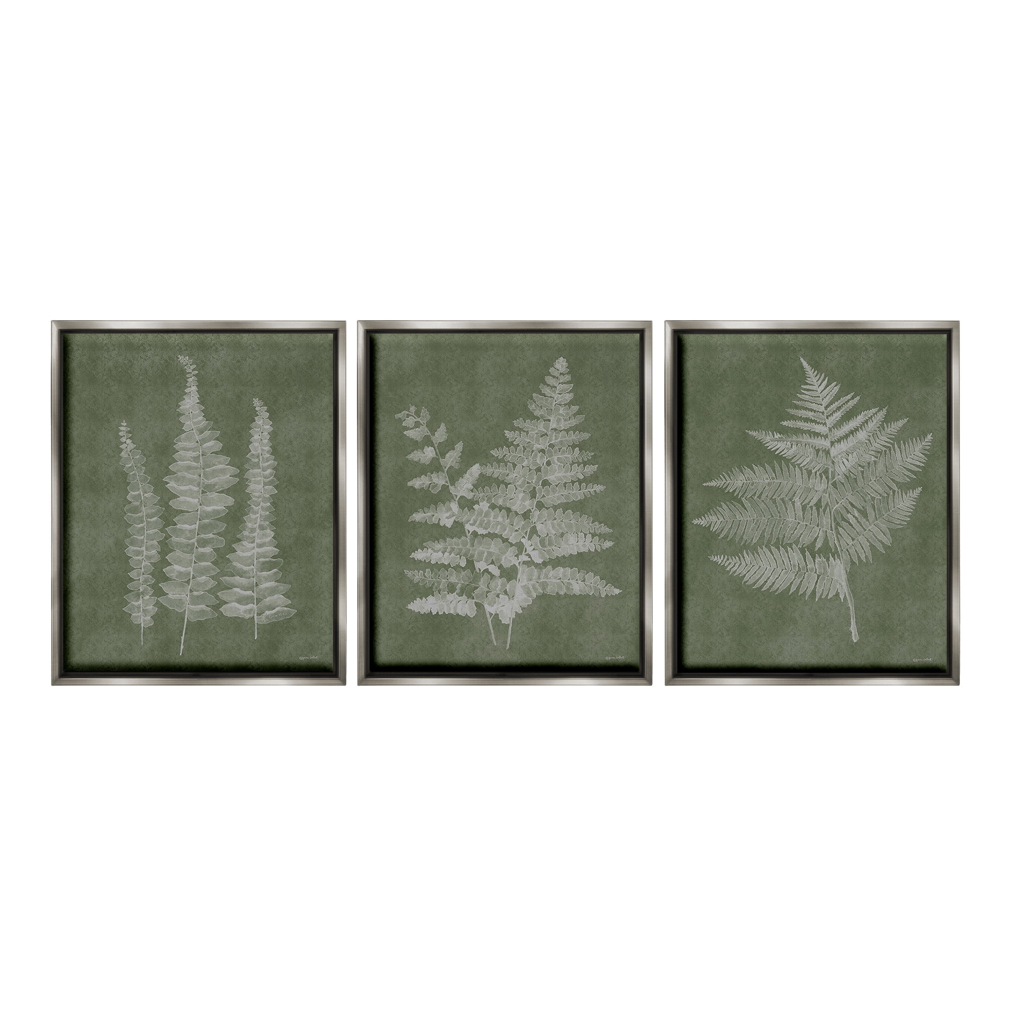 Stupell Industries Vintage Fern Silhouettes Botanical & Floral Painting Gray Floater Framed Canvas Art Print Wall Art, 25 x 31, Set of 3