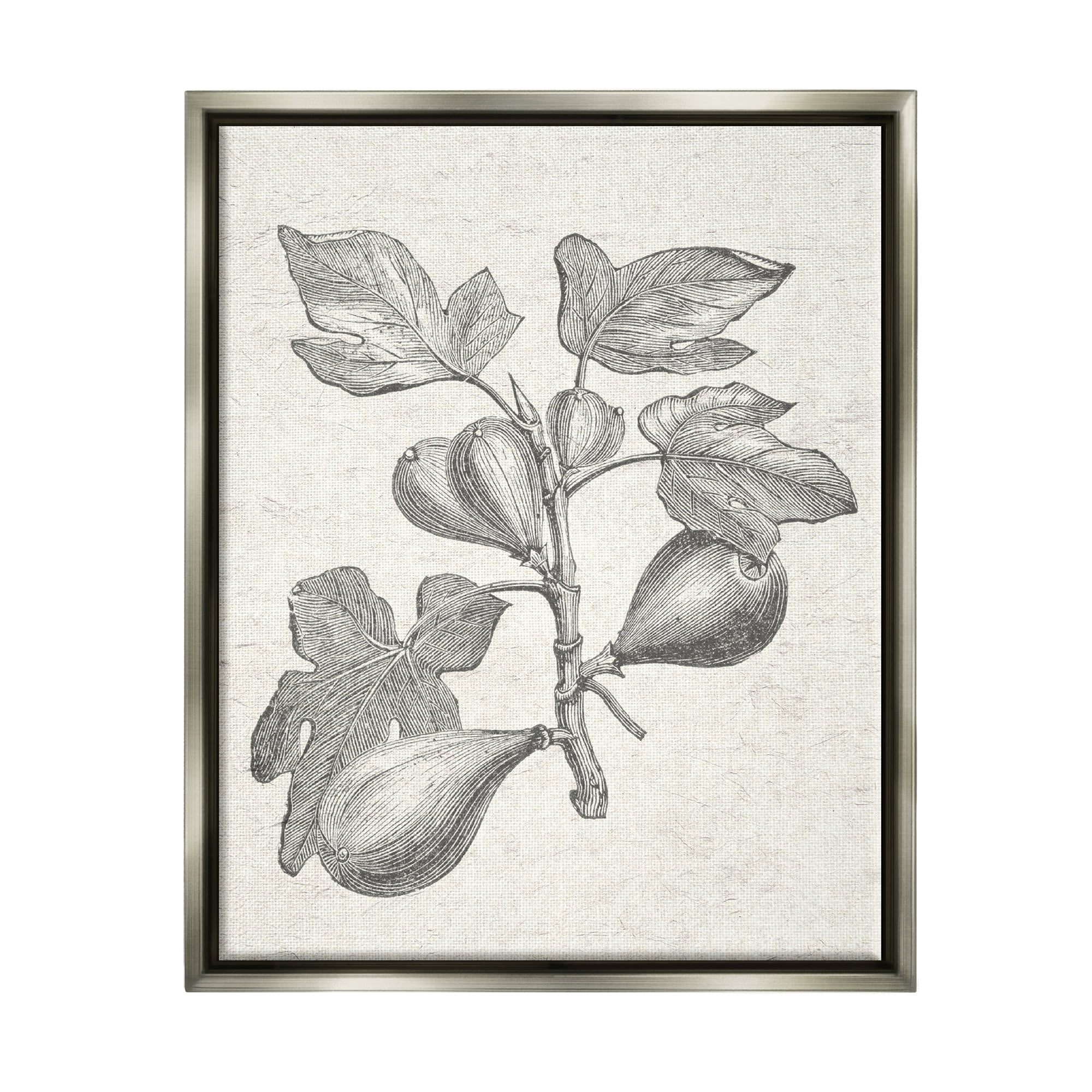 Stupell Industries Vintage Fig Plant Study Drawing Botanical & Floral Painting Gray Floater Framed Art Print Wall Art