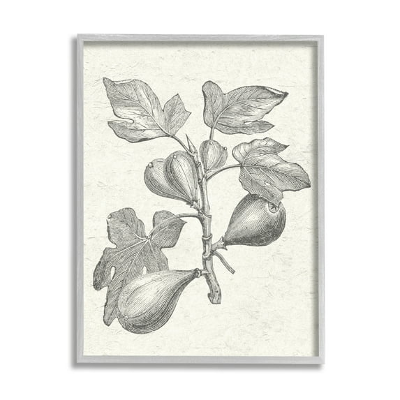 Stupell Industries Vintage Fig Plant Study Drawing Botanical & Floral Painting Gray Framed Art Print Wall Art