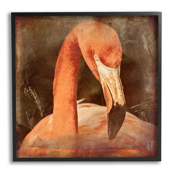 Stupell Industries Vintage Flamingo Animal Portrait Animals & Insects Painting Black Framed Art Print Wall Art