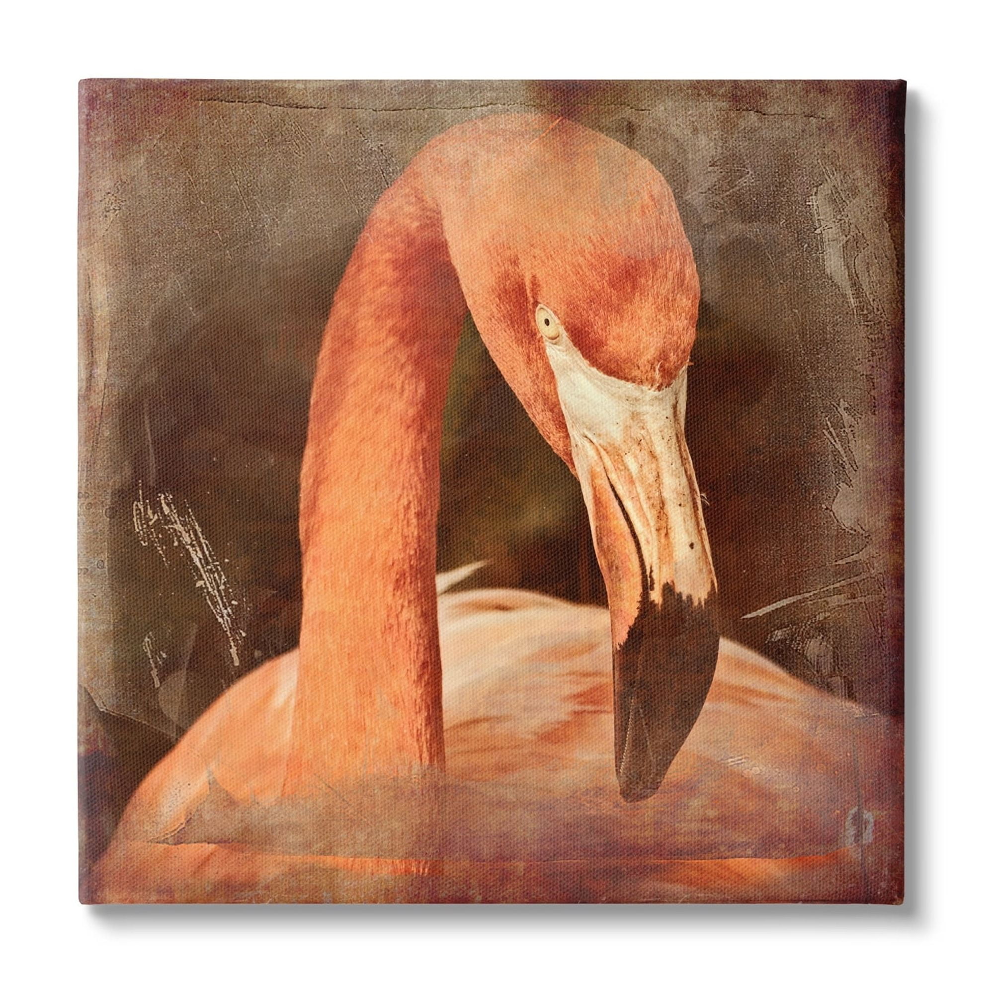 Stupell Industries Vintage Flamingo Animal Portrait Animals \u0026 Insects  Painting Gallery Wrapped Canvas Print Wall Art, image size:2000x2000