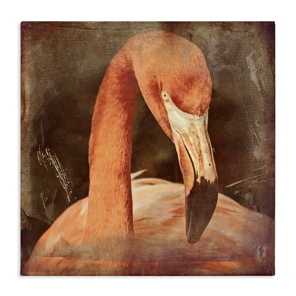 Stupell Industries Victorian Vintage Flamingo Animal Portrait Canvas Art, 17 x 17, by Graffitee Studios