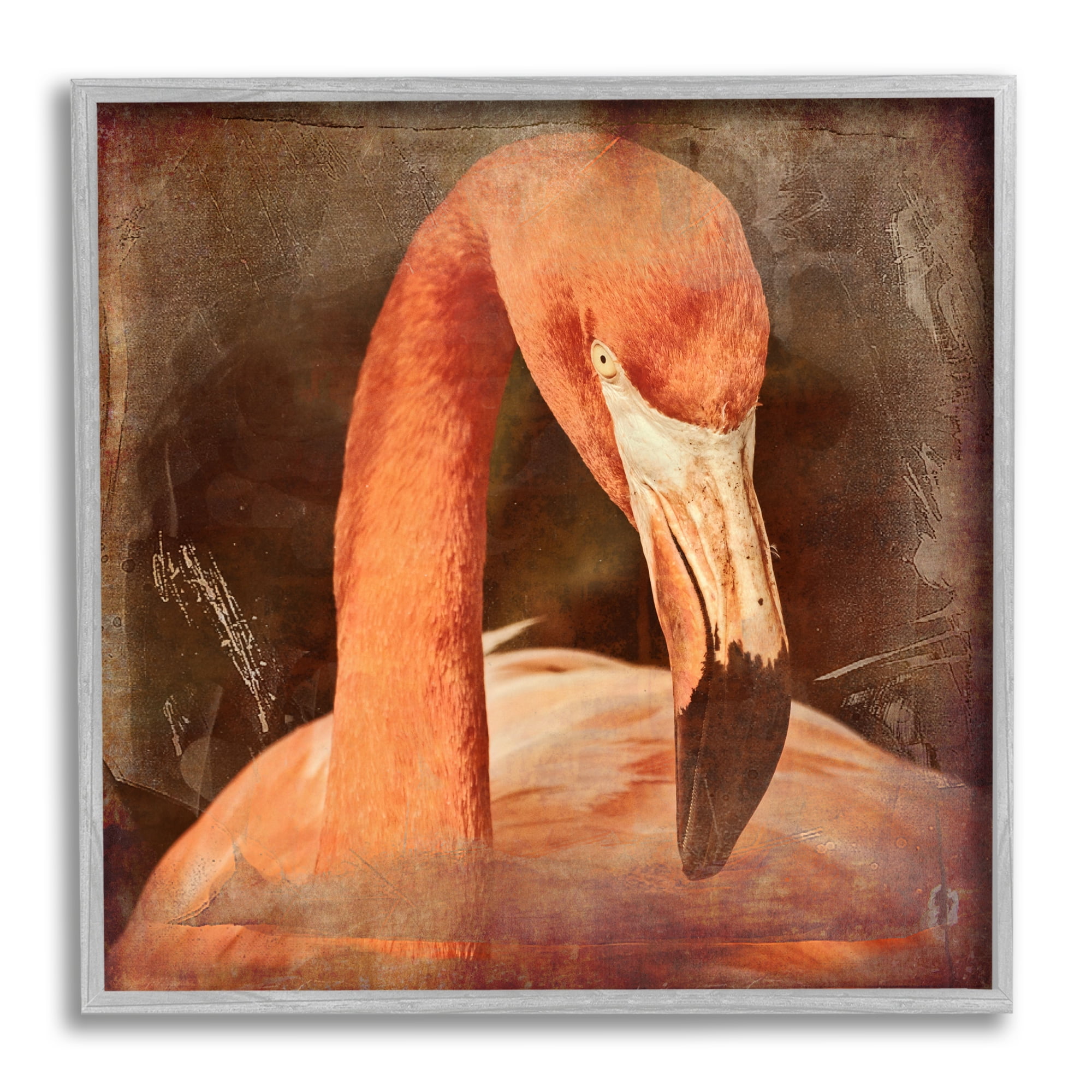 Vintage Flamingo Portrait 12" x 12" Gray Framed Wood Art