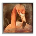 thumbnail image 1 of Stupell Industries Vintage Flamingo Animal Portrait Animals & Insects Painting Gray Framed Art Print Wall Art, 1 of 7