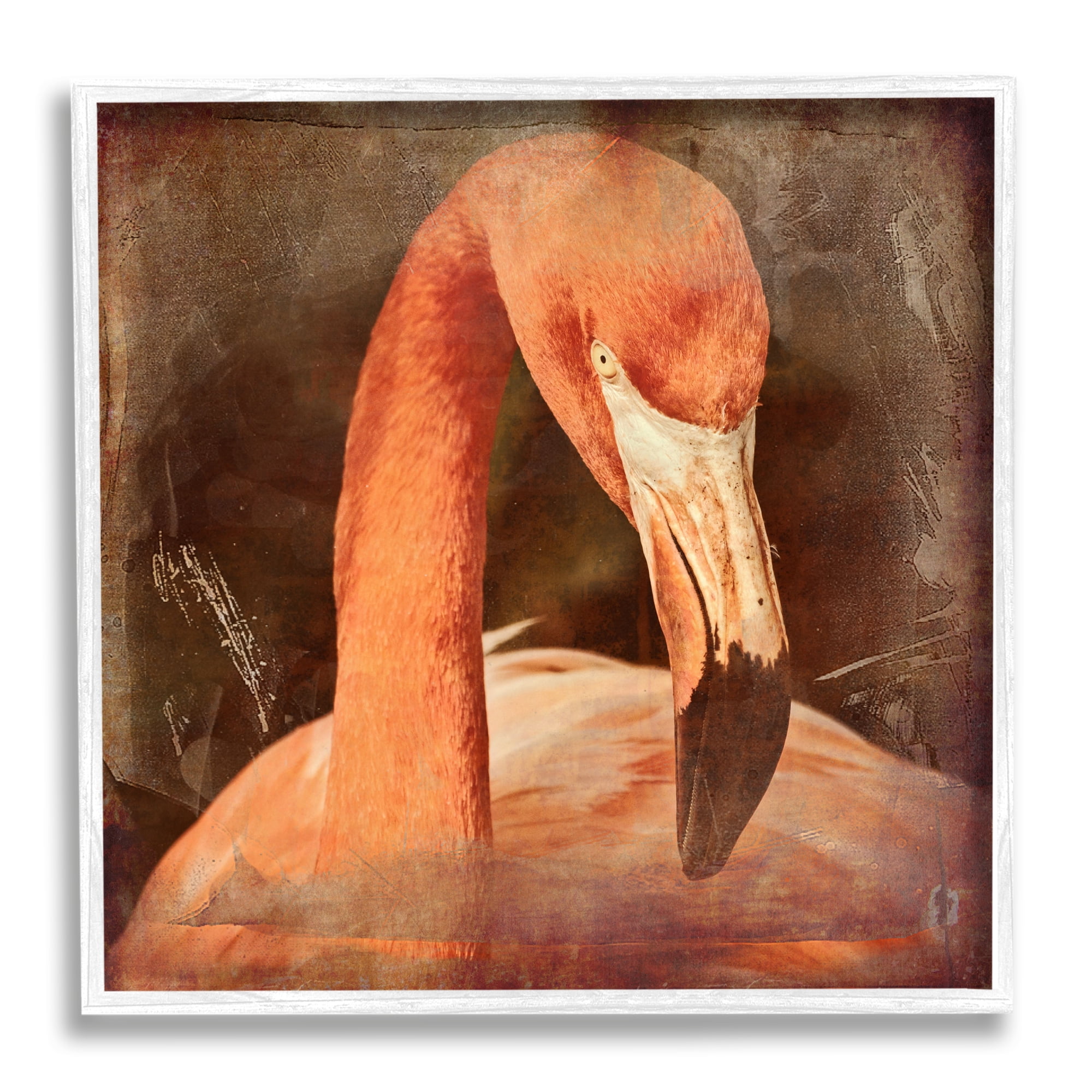 Stupell Industries Vintage Flamingo Animal Portrait Animals & Insects Painting White Framed Art Print Wall Art