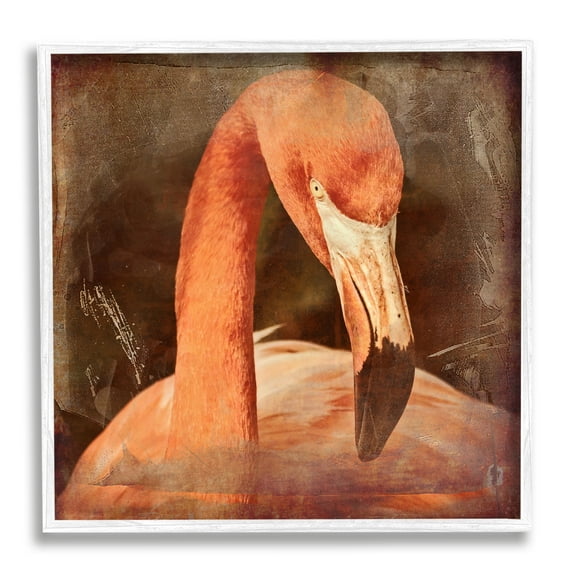 Stupell Industries Vintage Flamingo Animal Portrait Animals & Insects Painting White Framed Art Print Wall Art
