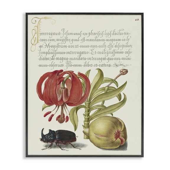 Stupell Industries Vintage Flora & Fauna Text & Numbers Painting Black Framed Art Print Wall Art, 11 x 14