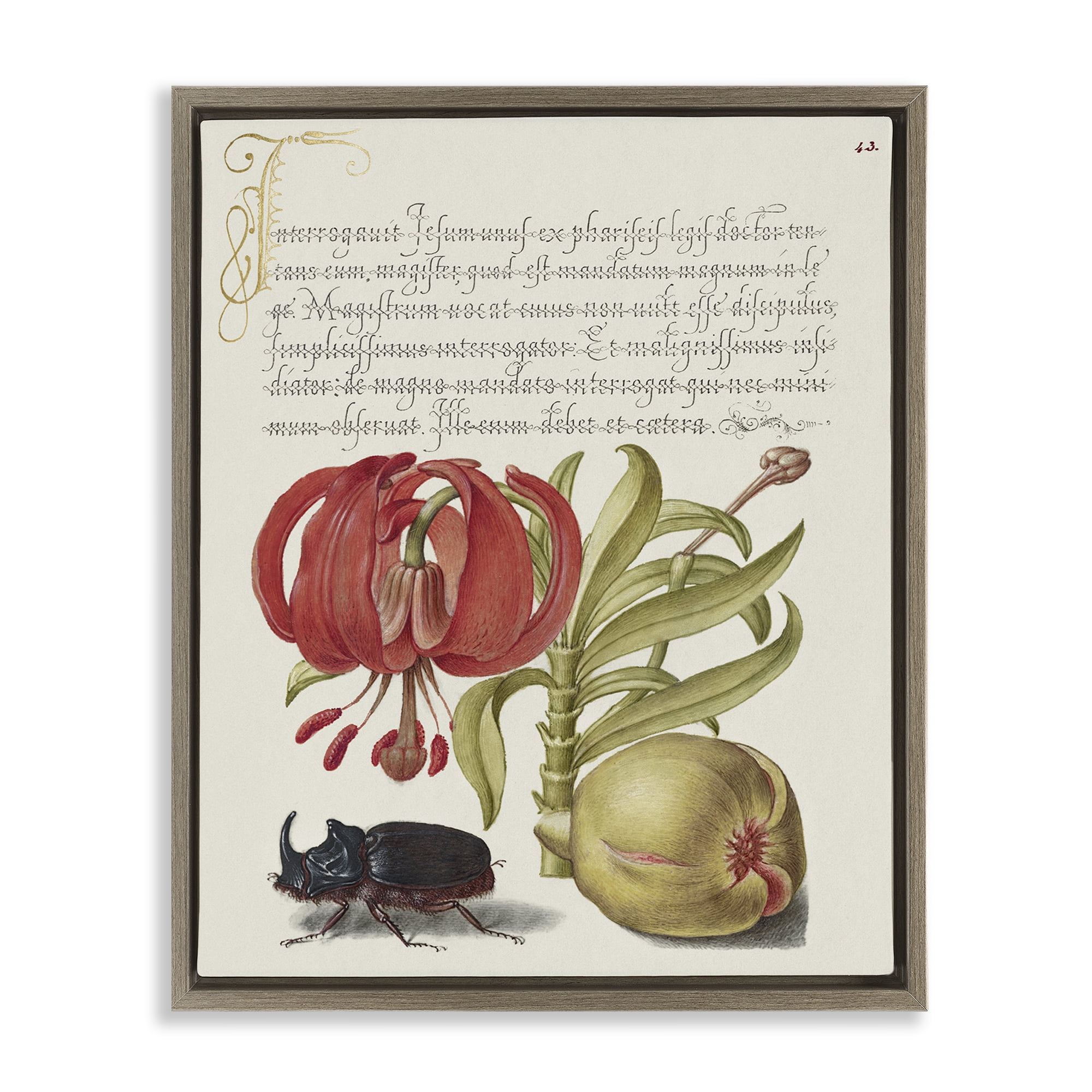Stupell Industries Vintage Flora & Fauna Text & Numbers Painting Brown Floater Framed Canvas Art Print Wall Art, 25 x 31