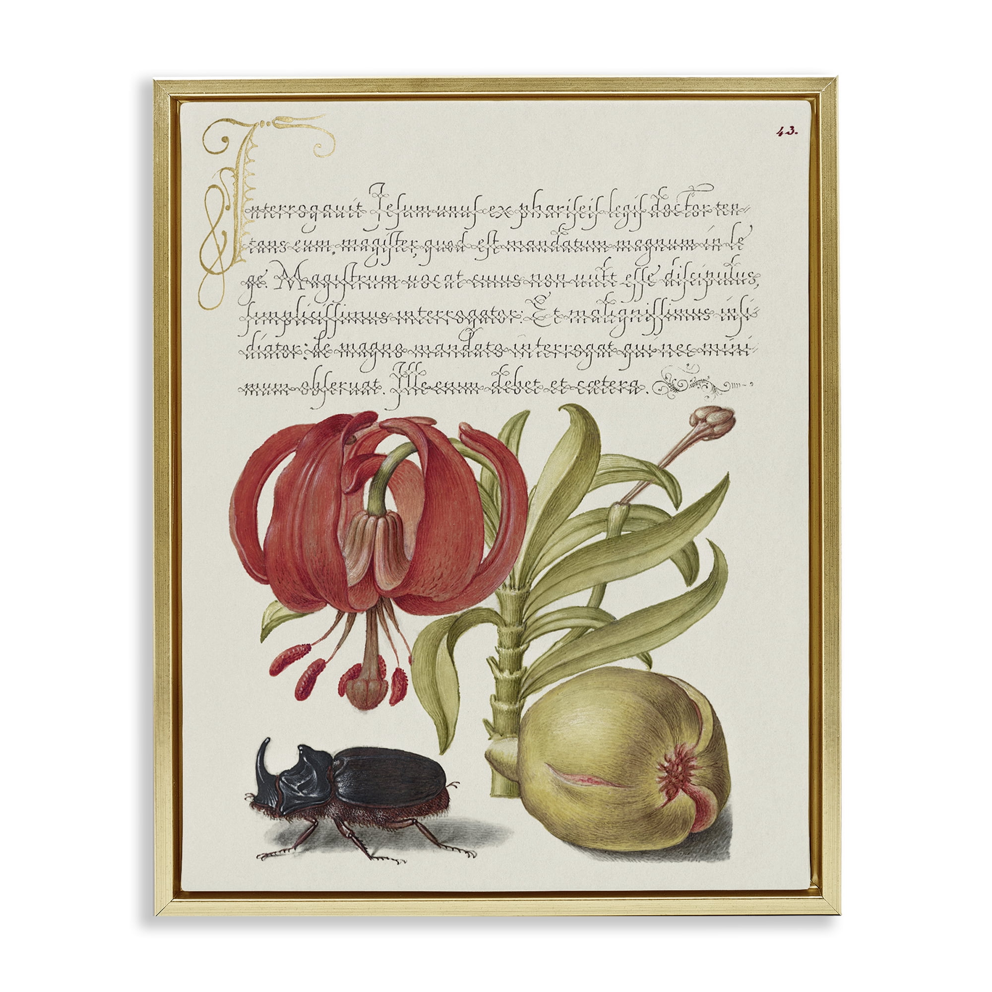 Stupell Industries Vintage Flora & Fauna Text & Numbers Painting Gold Floater Framed Canvas Art Print Wall Art, 17 x 21
