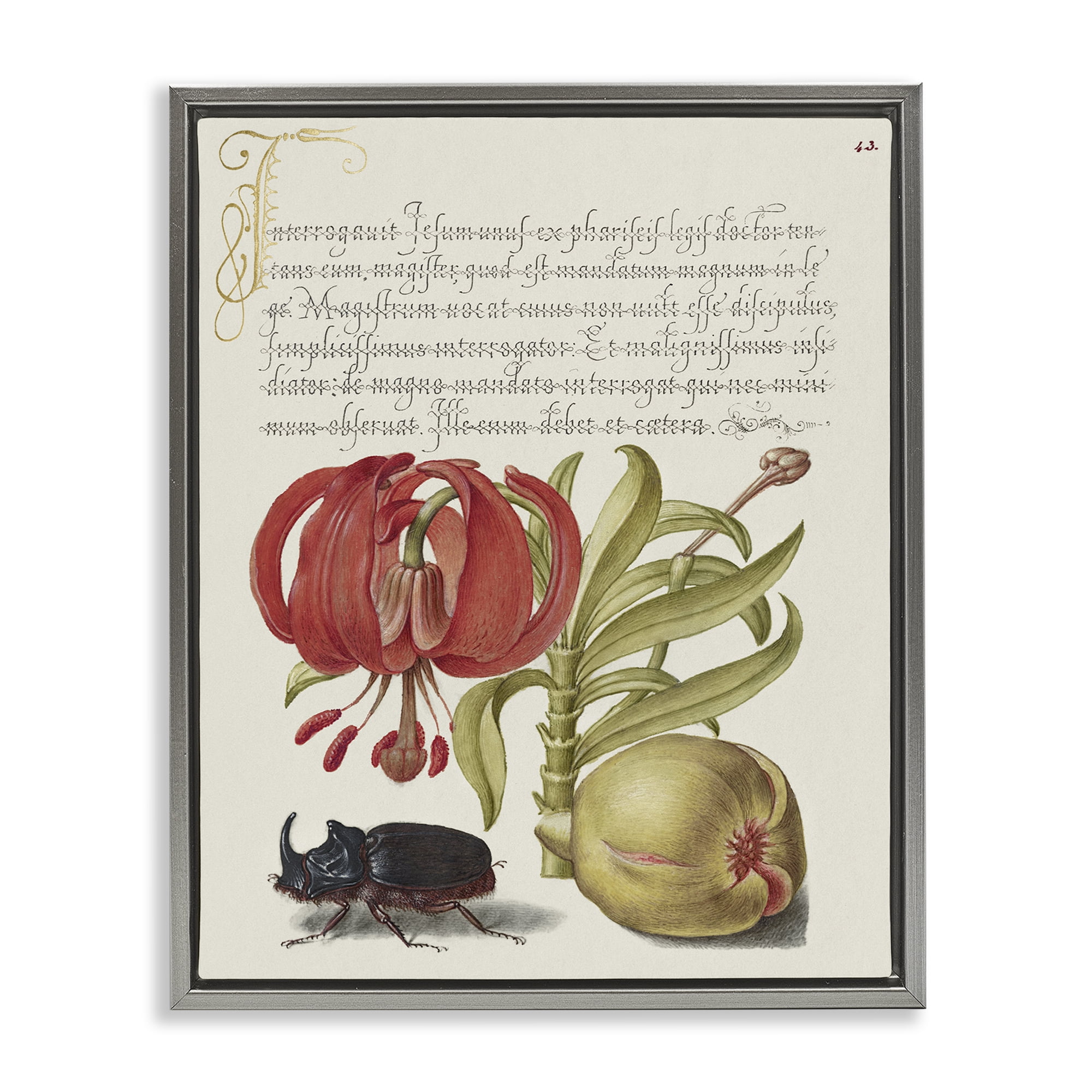 Stupell Industries Vintage Flora & Fauna Text & Numbers Painting Gray Floater Framed Canvas Art Print Wall Art, 17 x 21