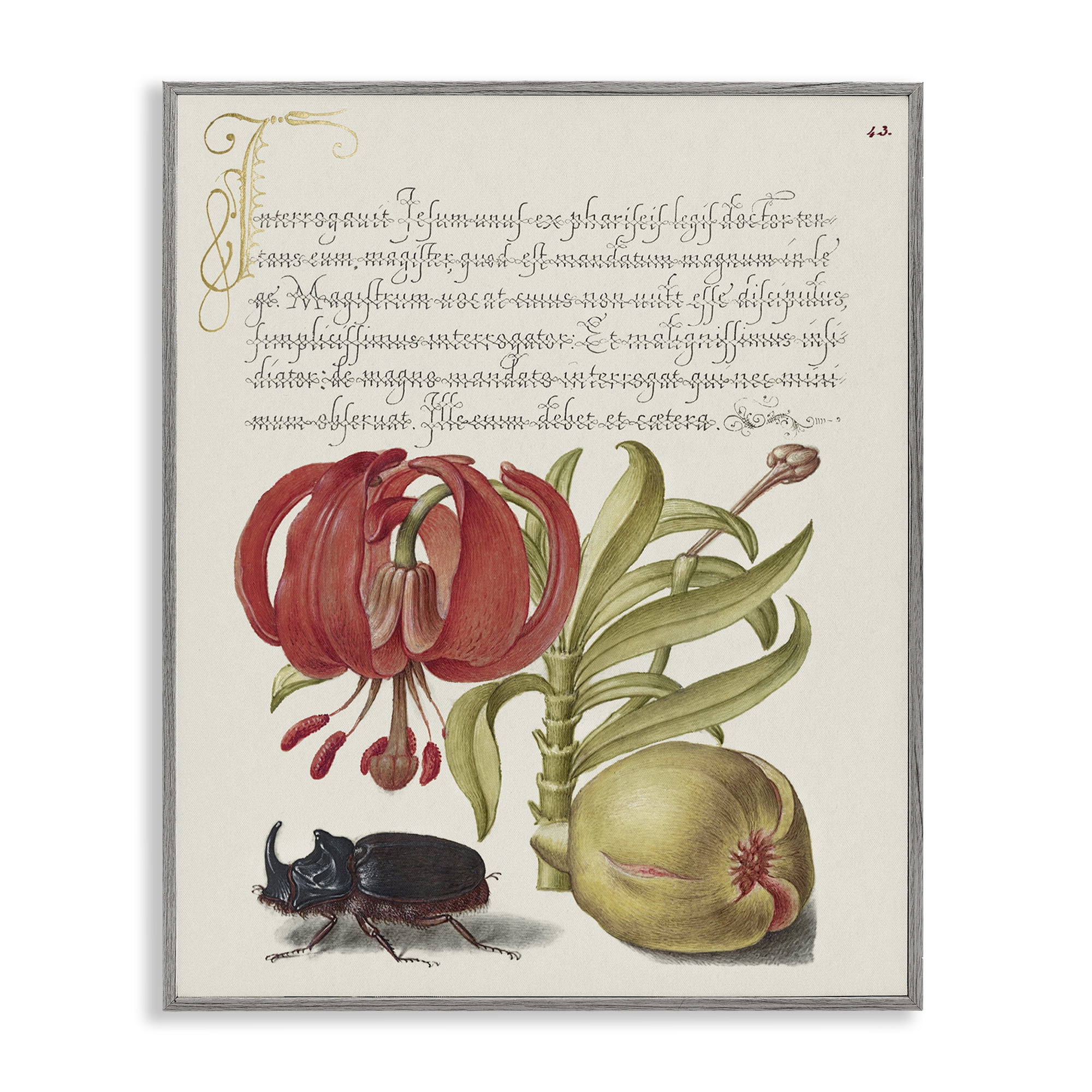 Stupell Industries Vintage Flora & Fauna Text & Numbers Painting Gray Framed Art Print Wall Art, 16 x 20