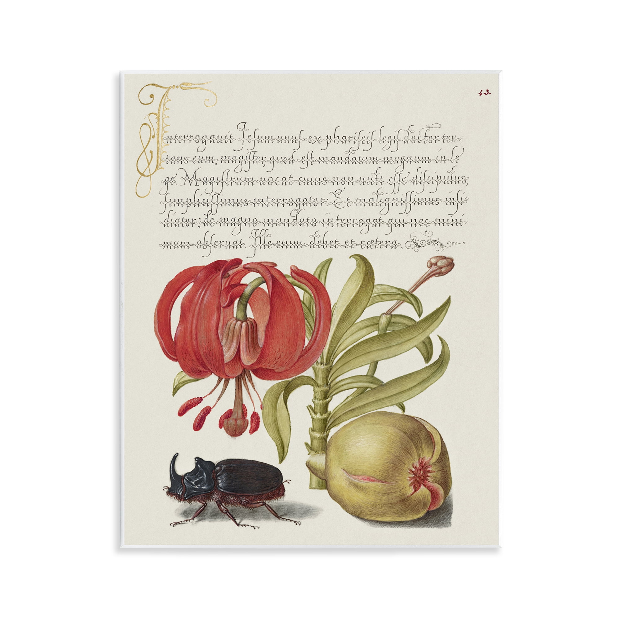 Stupell Industries Vintage Flora & Fauna Text & Numbers Painting Unframed Art Print Wall Art, 11 x 14