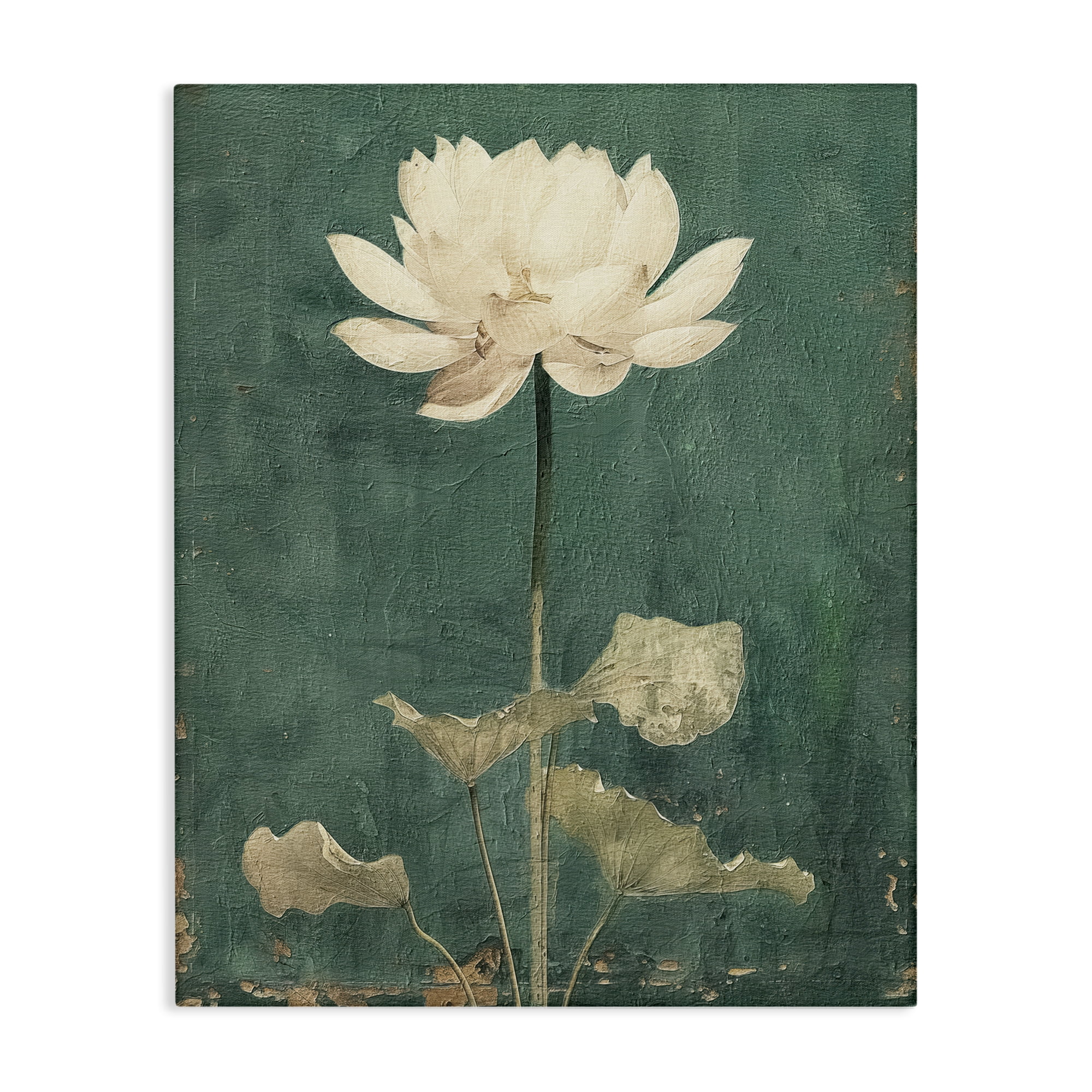 Stupell Industries Vintage Floral Bud Plants & Flowers Painting Wrapped Canvas Art Print Wall Art, 24 x 30