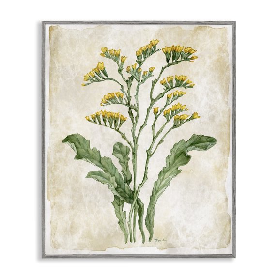 Stupell Industries Vintage Floral Journal Gray Framed Giclee Art design by Paul Brent, 14 x 11