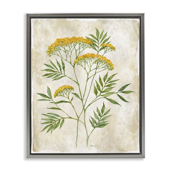 Stupell Industries Vintage Flower Journal Gray Framed Floater Canvas Wall Art design by Paul Brent, 21 x 17