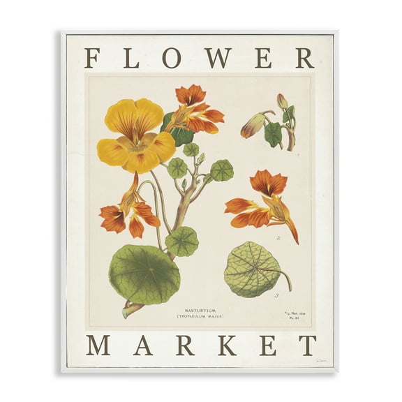 Stupell Industries Vintage Flower Market Blossoms Floral Painting White Framed Art Print Wall Art, 11 x 14