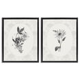 thumbnail image 1 of Stupell Industries French Country Vintage Flowers & Lace Black 2pc Floating Frame Art Set, 17 x 21 each, by CAD Designs, 1 of 7