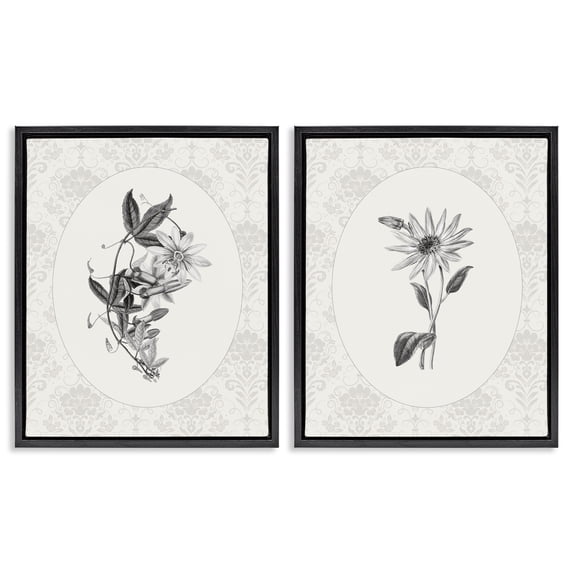 Stupell Industries French Country Vintage Flowers & Lace Black 2pc Floating Frame Art Set, 17 x 21 each, by CAD Designs