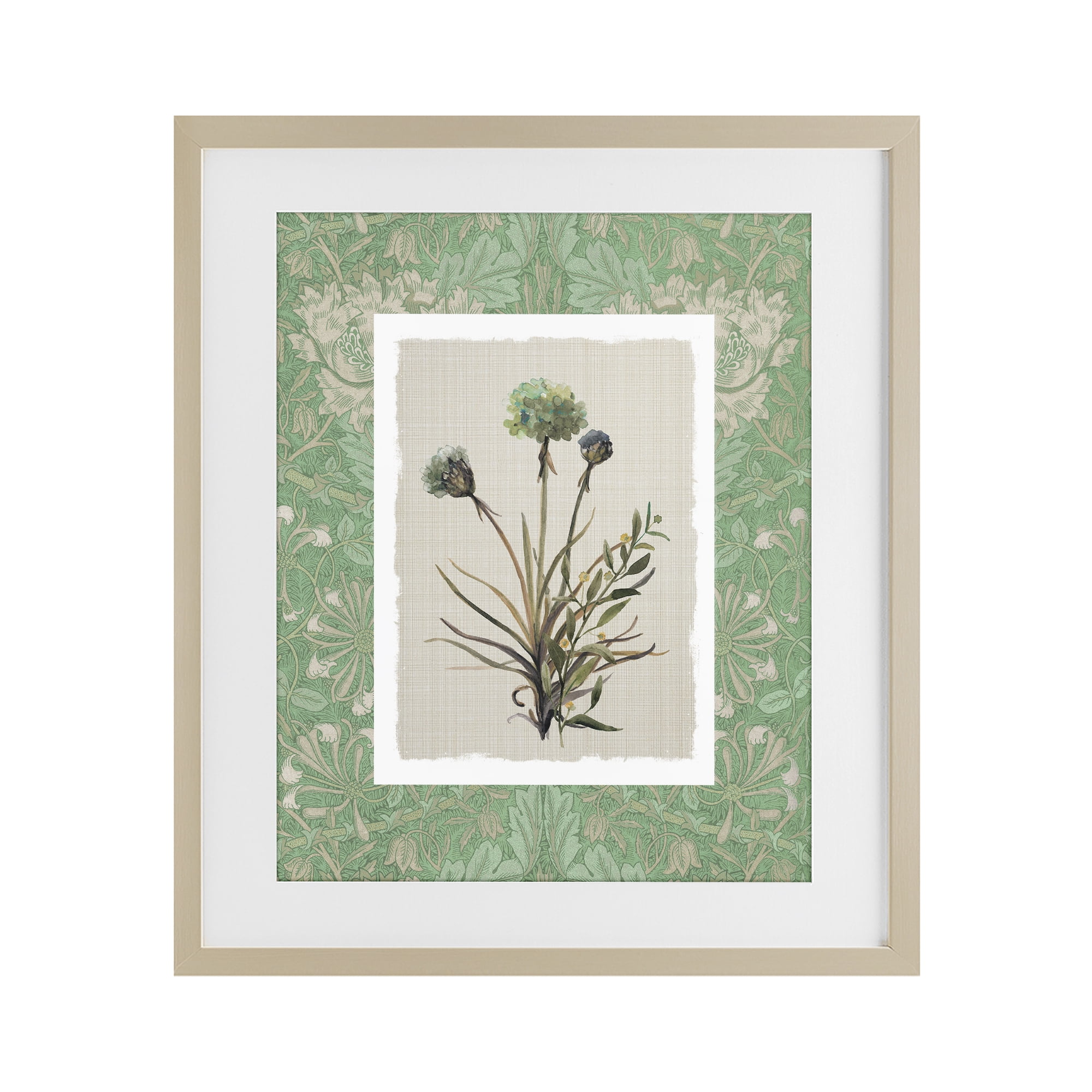 Stupell Industries Vintage Foliage in Green Birch Framed Print Under Glass, design by Carol Robinson