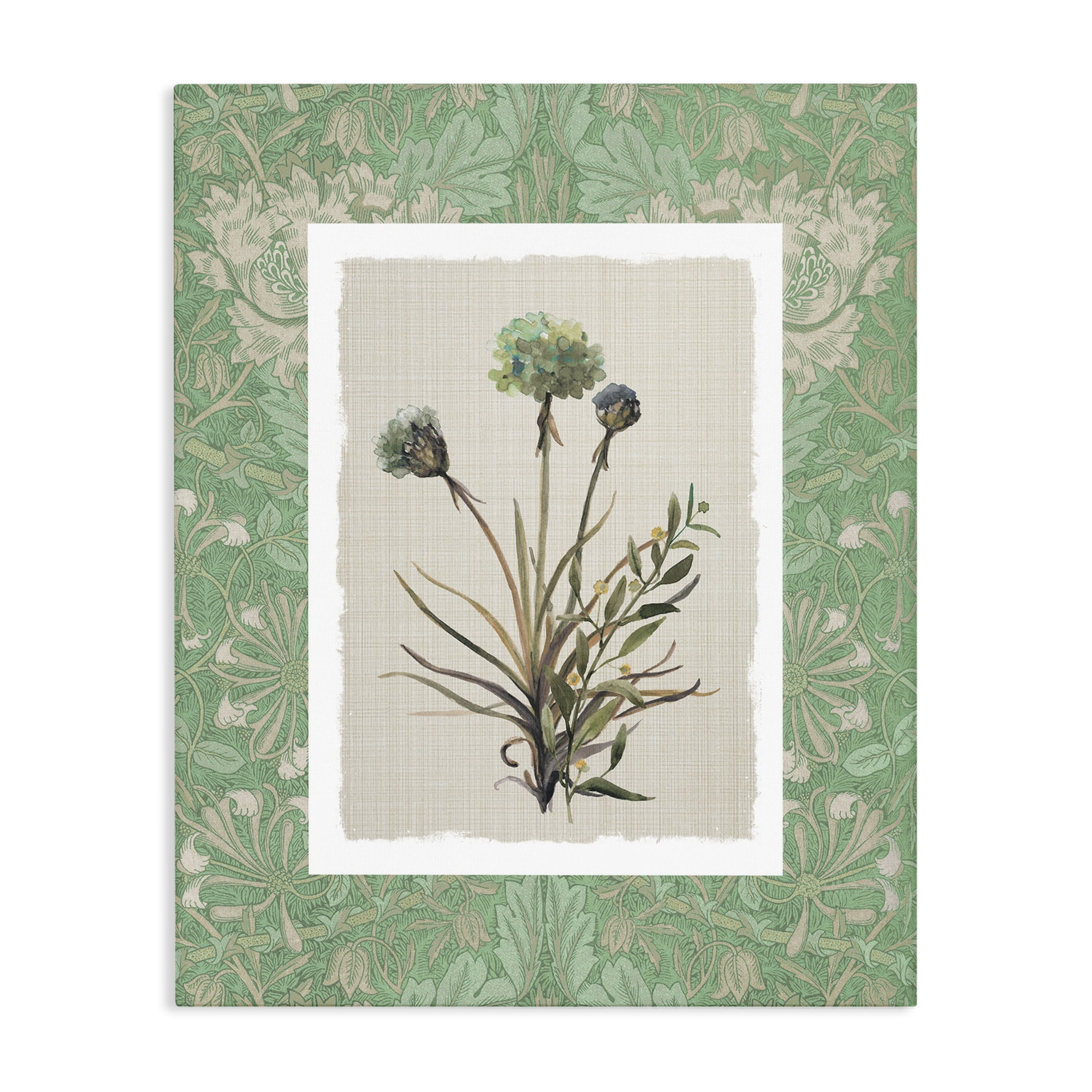 Stupell Industries Vintage Foliage in Green Canvas Wall Art, design by Carol Robinson