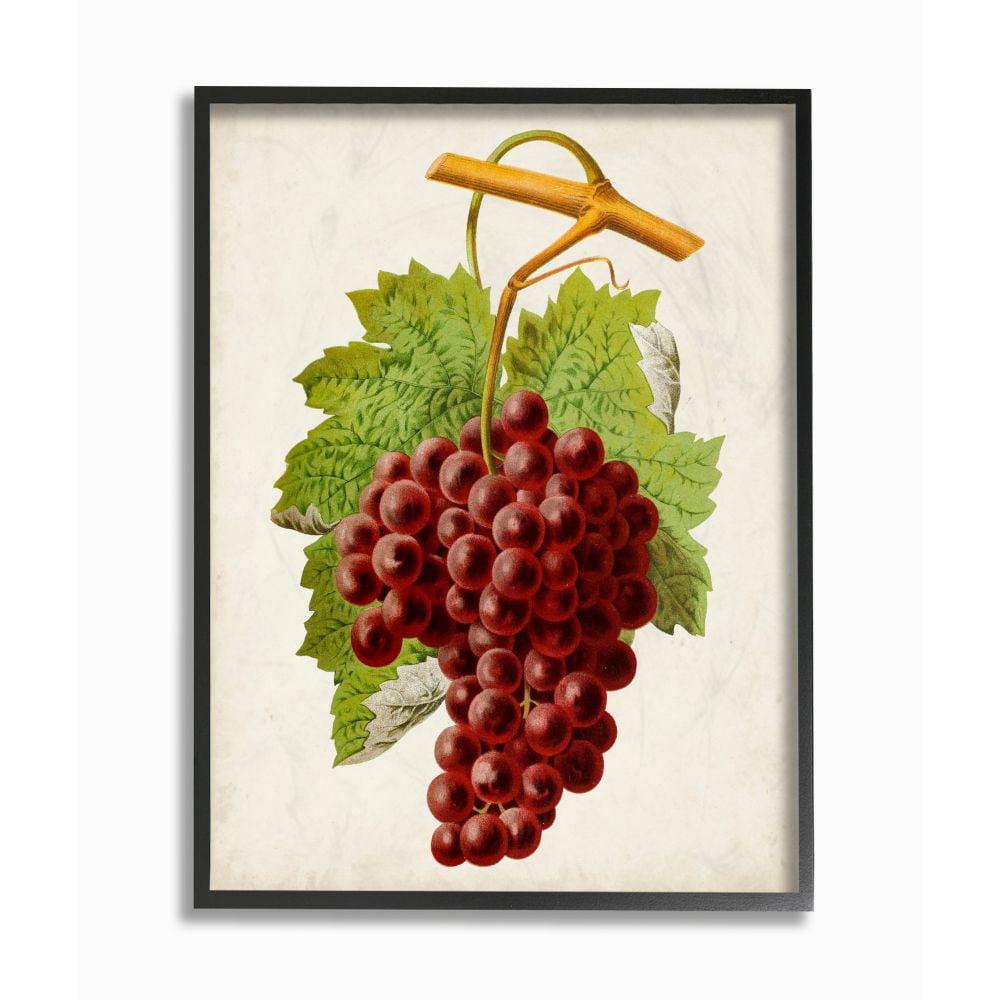 Stupell Industries Vintage Food Fruit Painting Framed Giclee Texturized Art by Vision Studio