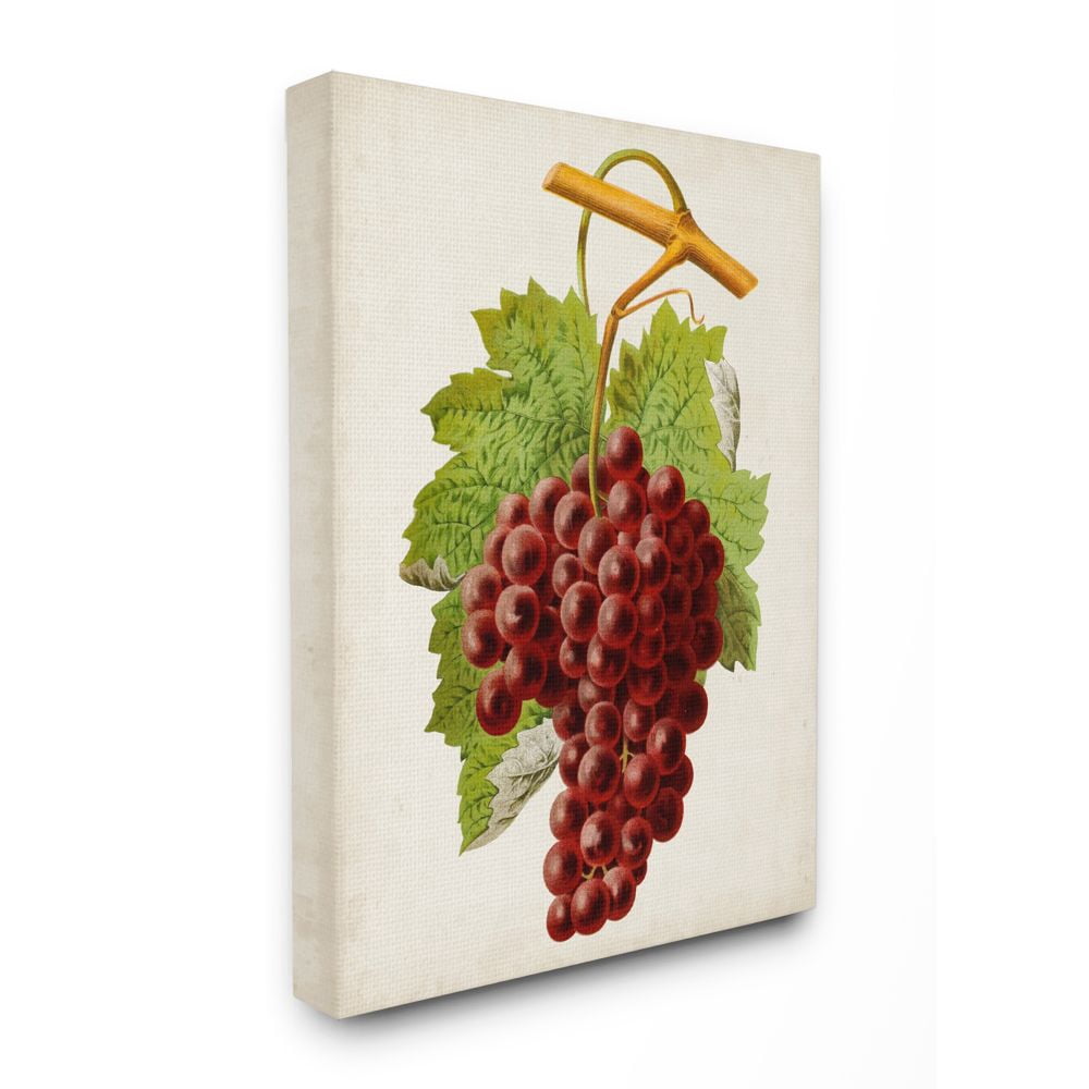 Stupell Industries Vintage Food Fruit Painting Super Canvas Wall Art by Vision Studio