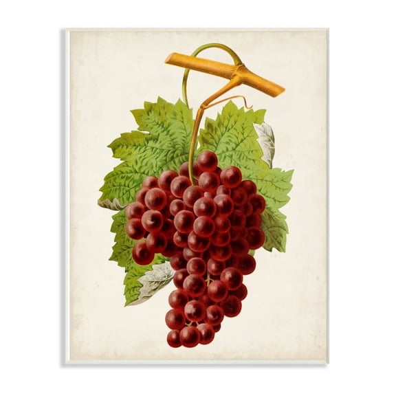 Stupell Industries Vintage Food Fruit Painting Wall Plaque Art by Vision Studio