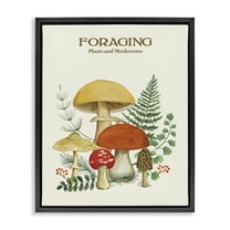 Stupell Industries Vintage Foraging Mushrooms Botanical & Floral Painting Black Floater Framed Art Print Wall Art, 17 x 21