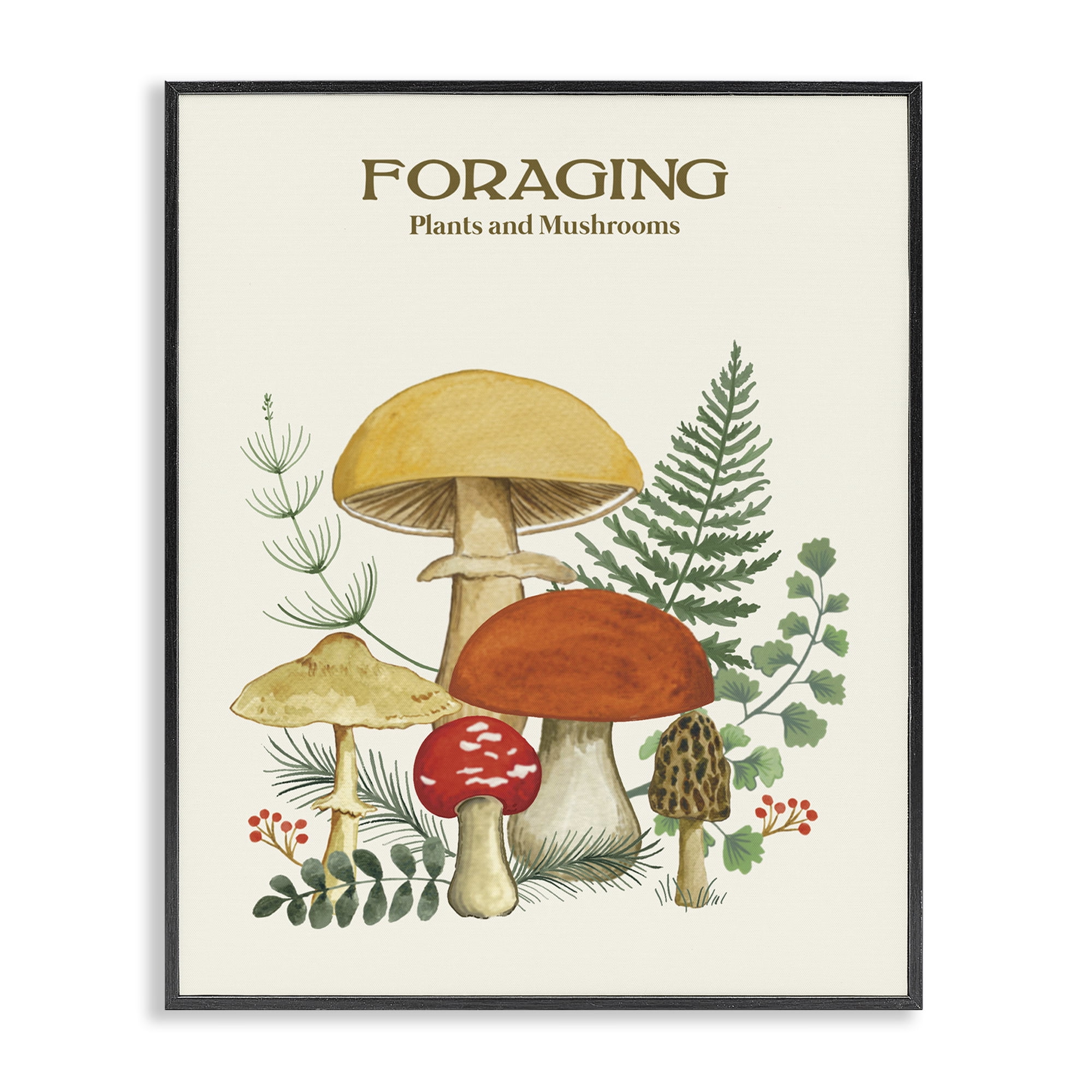 Stupell Industries Vintage Foraging Mushrooms Botanical & Floral Painting Black Framed Art Print Wall Art, 16 x 20