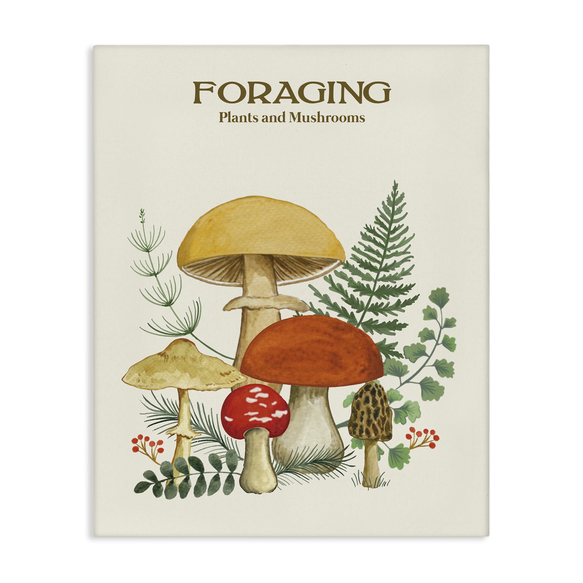 Stupell Industries Vintage Foraging Mushrooms Botanical & Floral Painting Gallery Wrapped Canvas Art Print Wall Art, 24 x 30