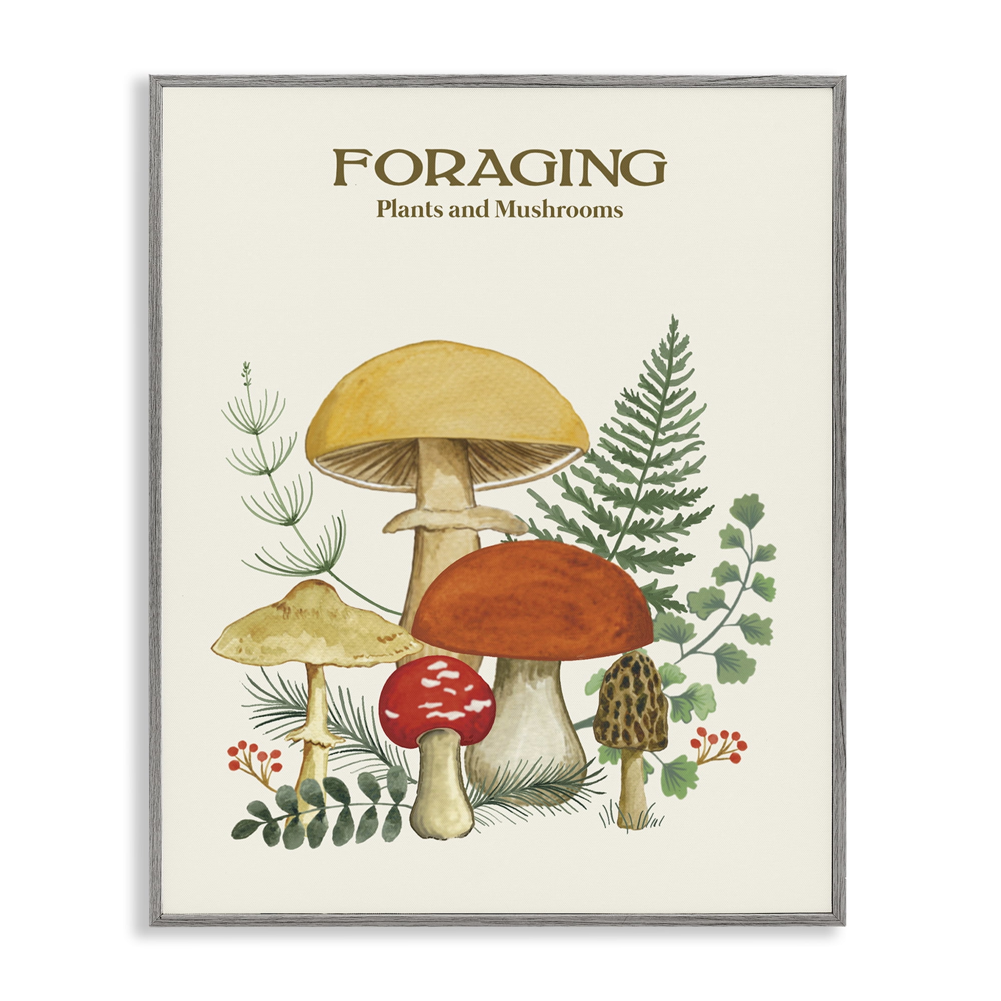 Stupell Industries Vintage Foraging Mushrooms Botanical & Floral Painting Gray Framed Art Print Wall Art, 16 x 20