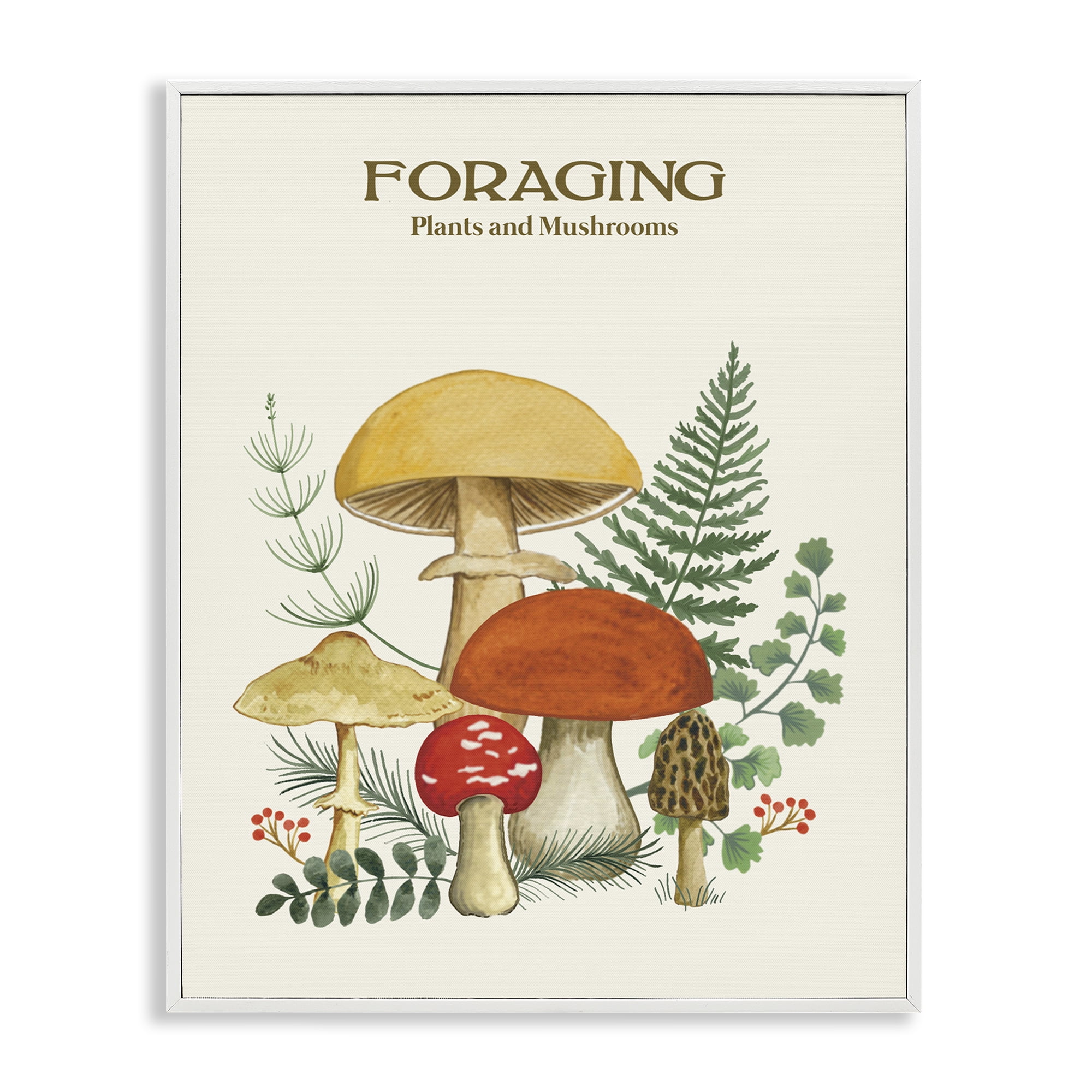Stupell Industries Vintage Foraging Mushrooms Botanical & Floral Painting White Framed Art Print Wall Art, 24 x 30