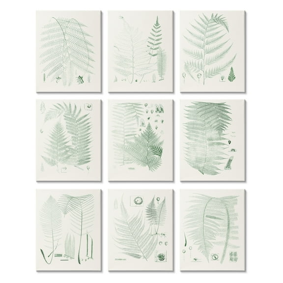 Stupell Industries Vintage Forest Fern Study Minimal Beige Green Abstract Painting Gallery Wrapped Canvas Art Print Wall Art, 11 x 14, Set of 9