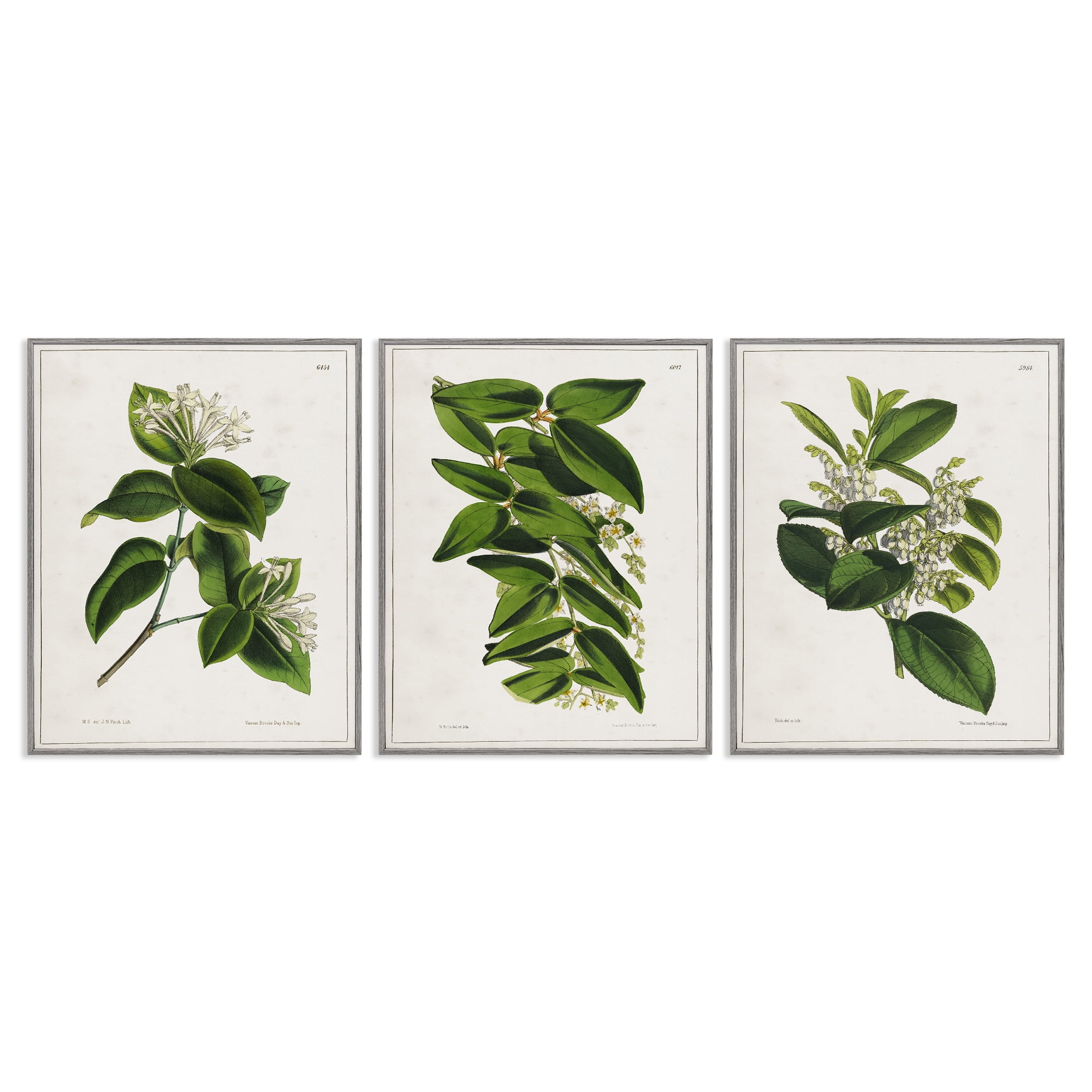 Stupell Industries Vintage Forest Flower Studies Plants & Flowers Painting Gray Framed Art Print Wall Art, 11 x 14, Set of 3