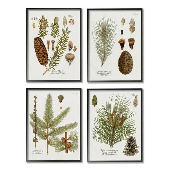 Stupell Industries Vintage Forest Pine Illustrated Study Green Brown Plants, 16 x 20, Design by Kelly Donovan