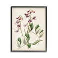thumbnail image 1 of Stupell Industries Vintage Foxglove Study Botanical & Floral Painting Black Framed Art Print Wall Art, 11 x 14, 1 of 9