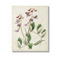 thumbnail image 1 of Stupell Industries Vintage Foxglove Study Botanical & Floral Painting Gallery Wrapped Canvas Art Print Wall Art, 16 x 20, 1 of 8