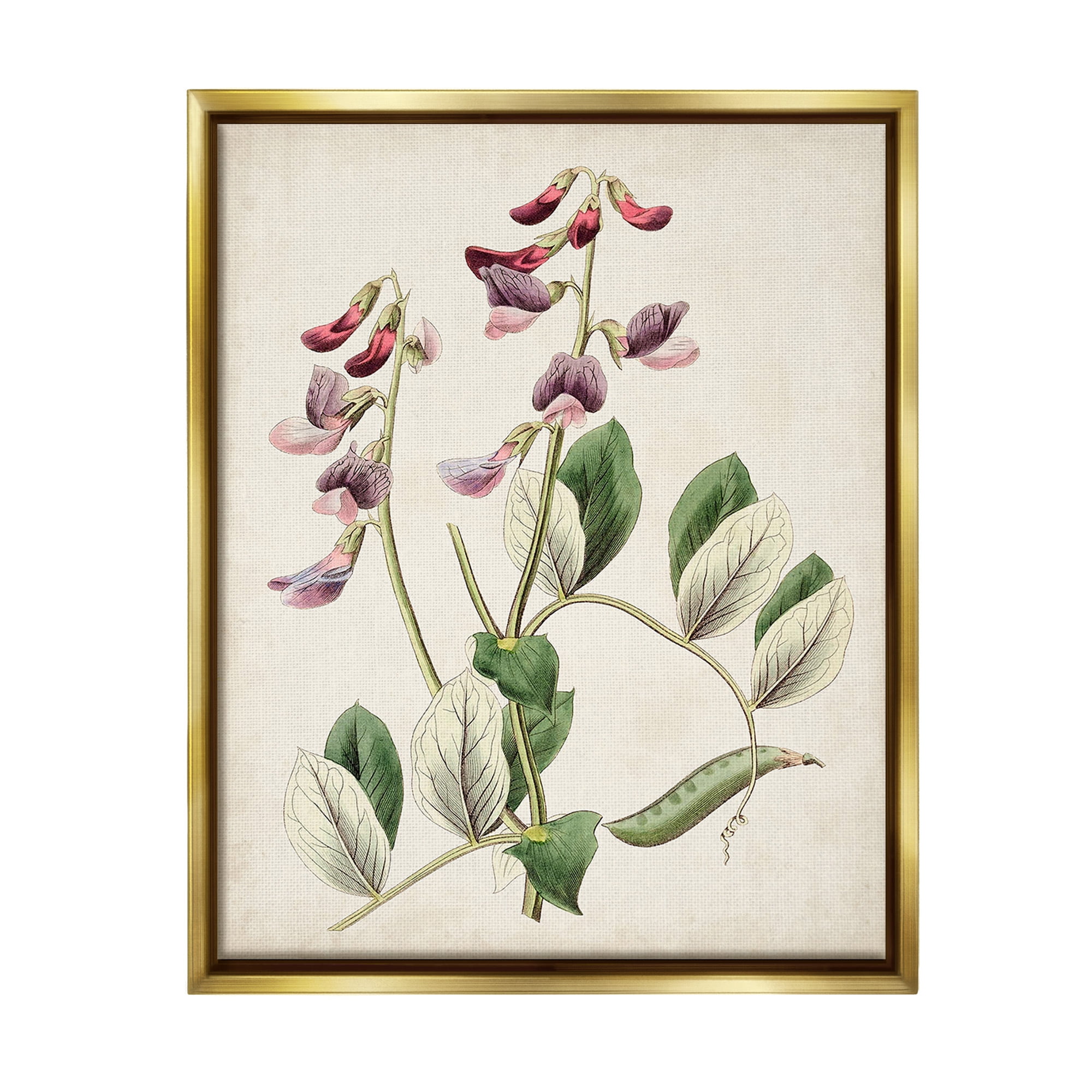 Stupell Industries Vintage Foxglove Study Botanical & Floral Painting Gold Floater Framed Canvas Art Print Wall Art, 25 x 31
