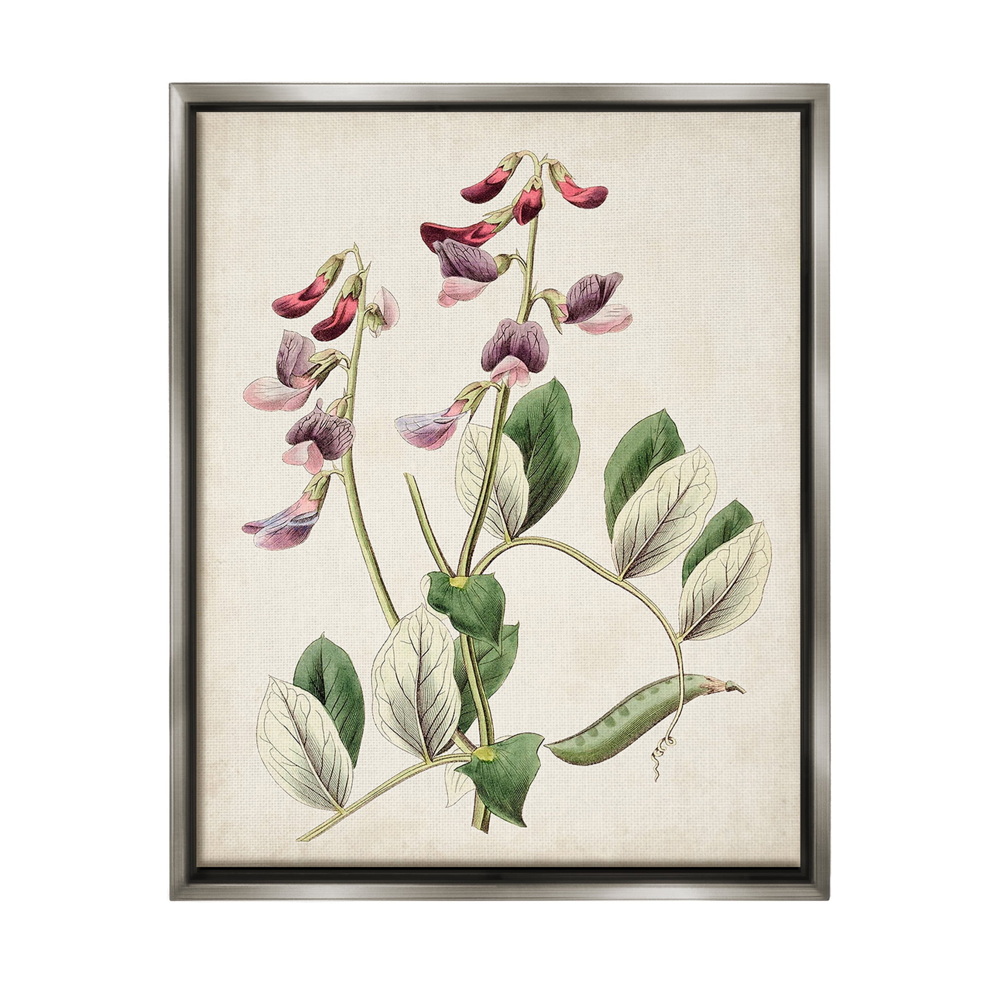 Stupell Industries Vintage Foxglove Study Botanical & Floral Painting Gray Floater Framed Canvas Art Print Wall Art, 25 x 31