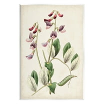 Stupell Industries Vintage Foxglove Study Botanical & Floral Painting Unframed Art Print Wall Art, 10 x 15