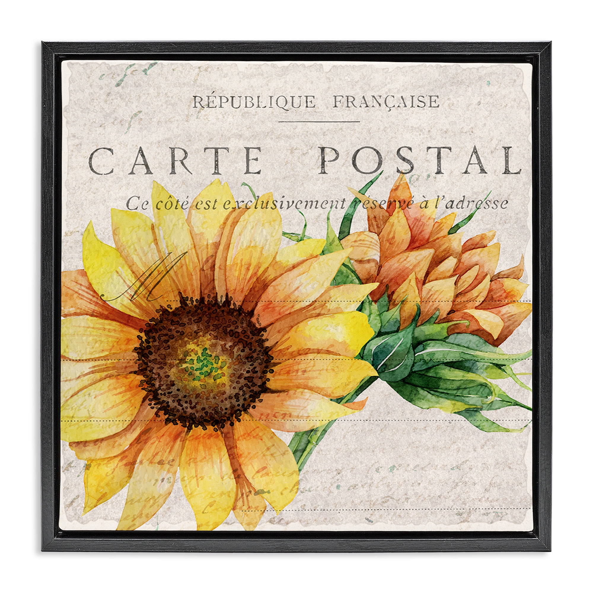 Stupell Industries Vintage French Sunflower Postcard Botanical & Floral Painting Black Floater Framed Canvas Art Print Wall Art, 25 x 25