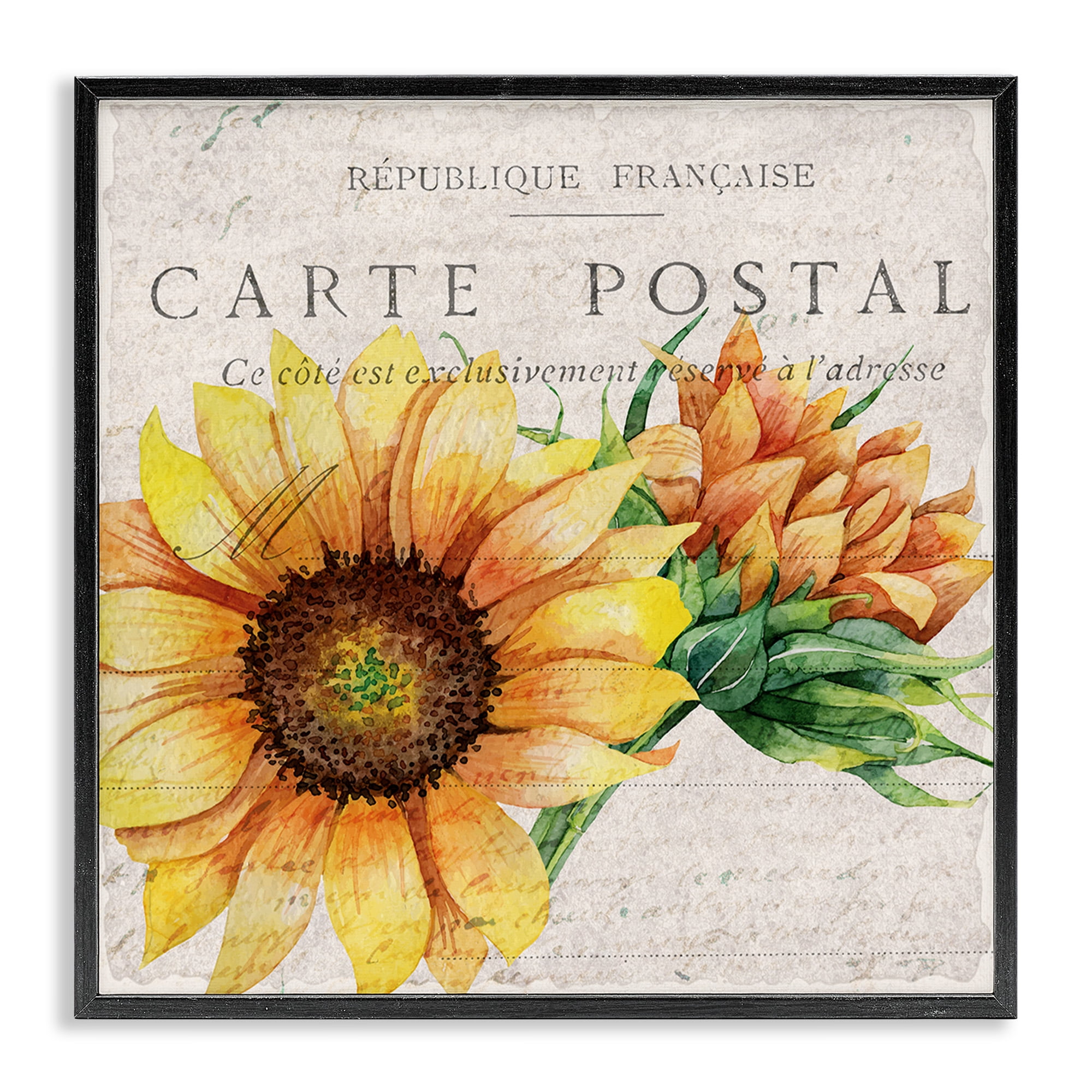 Stupell Industries Vintage French Sunflower Postcard Botanical & Floral Painting Black Framed Art Print Wall Art, 17 x 17