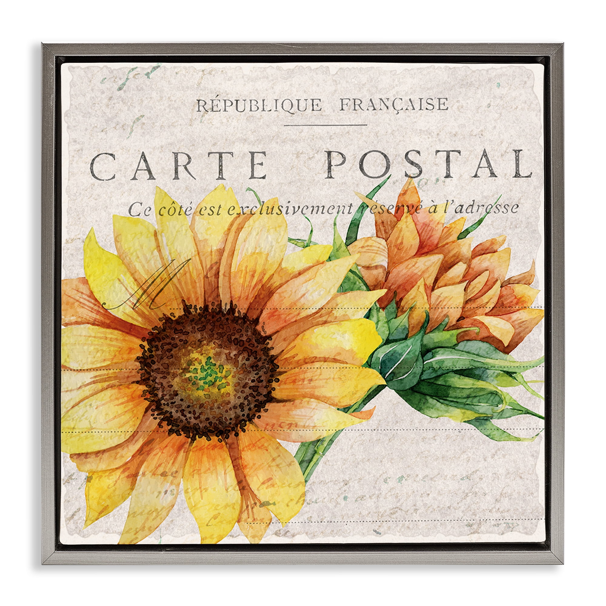 Stupell Industries Vintage French Sunflower Postcard Botanical & Floral Painting Gray Floater Framed Canvas Art Print Wall Art, 25 x 25