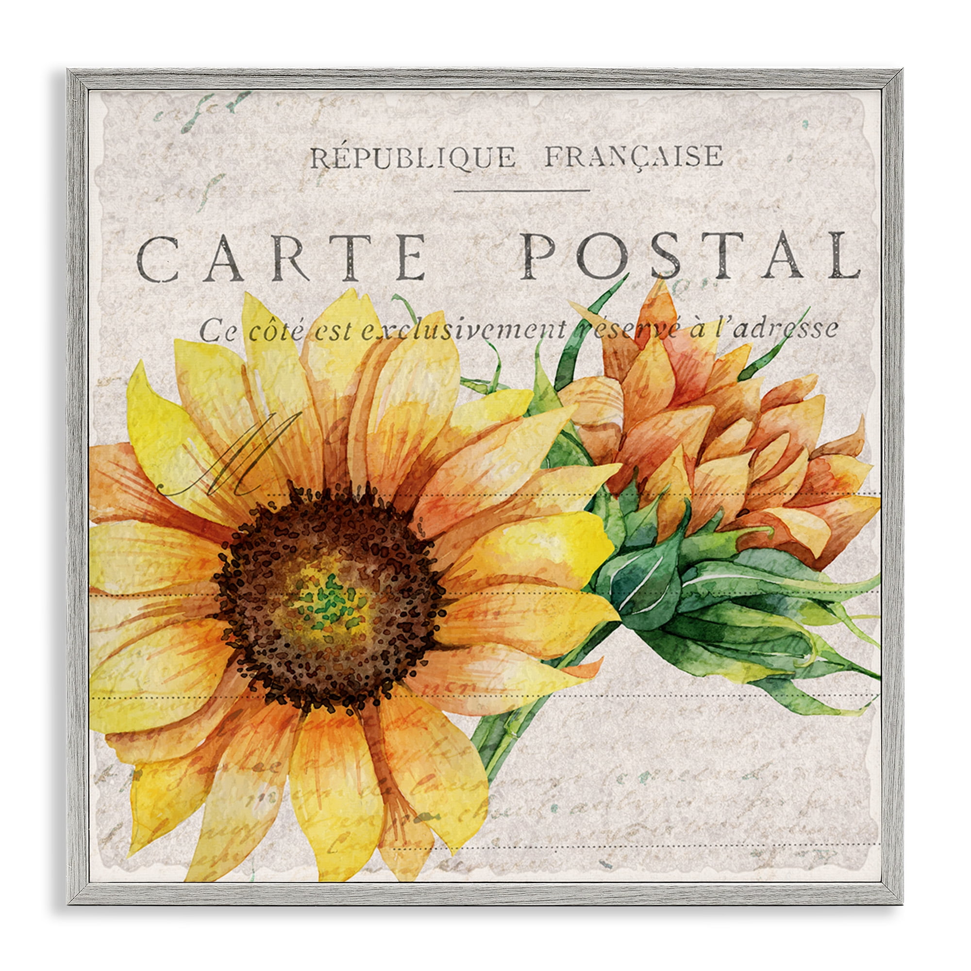 Stupell Industries Vintage French Sunflower Postcard Botanical & Floral Painting Gray Framed Art Print Wall Art, 12 x 12